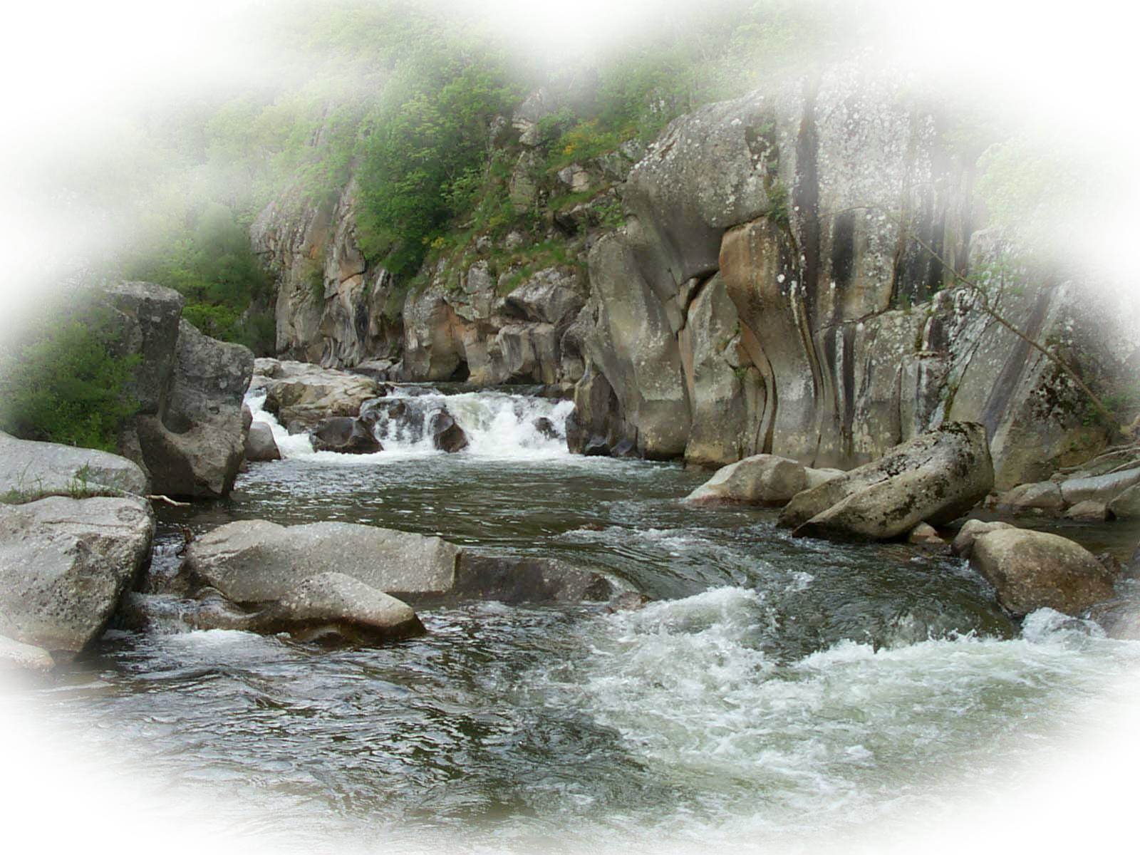 Des torrents pour les amateurs de pêche à la truite