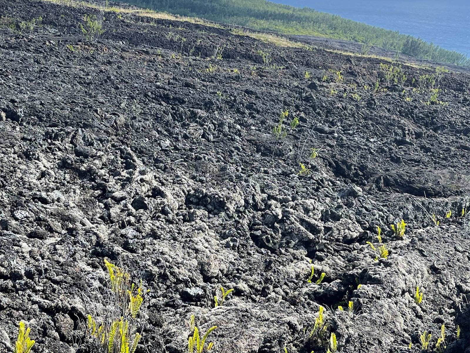 la-marine-saint-joseph