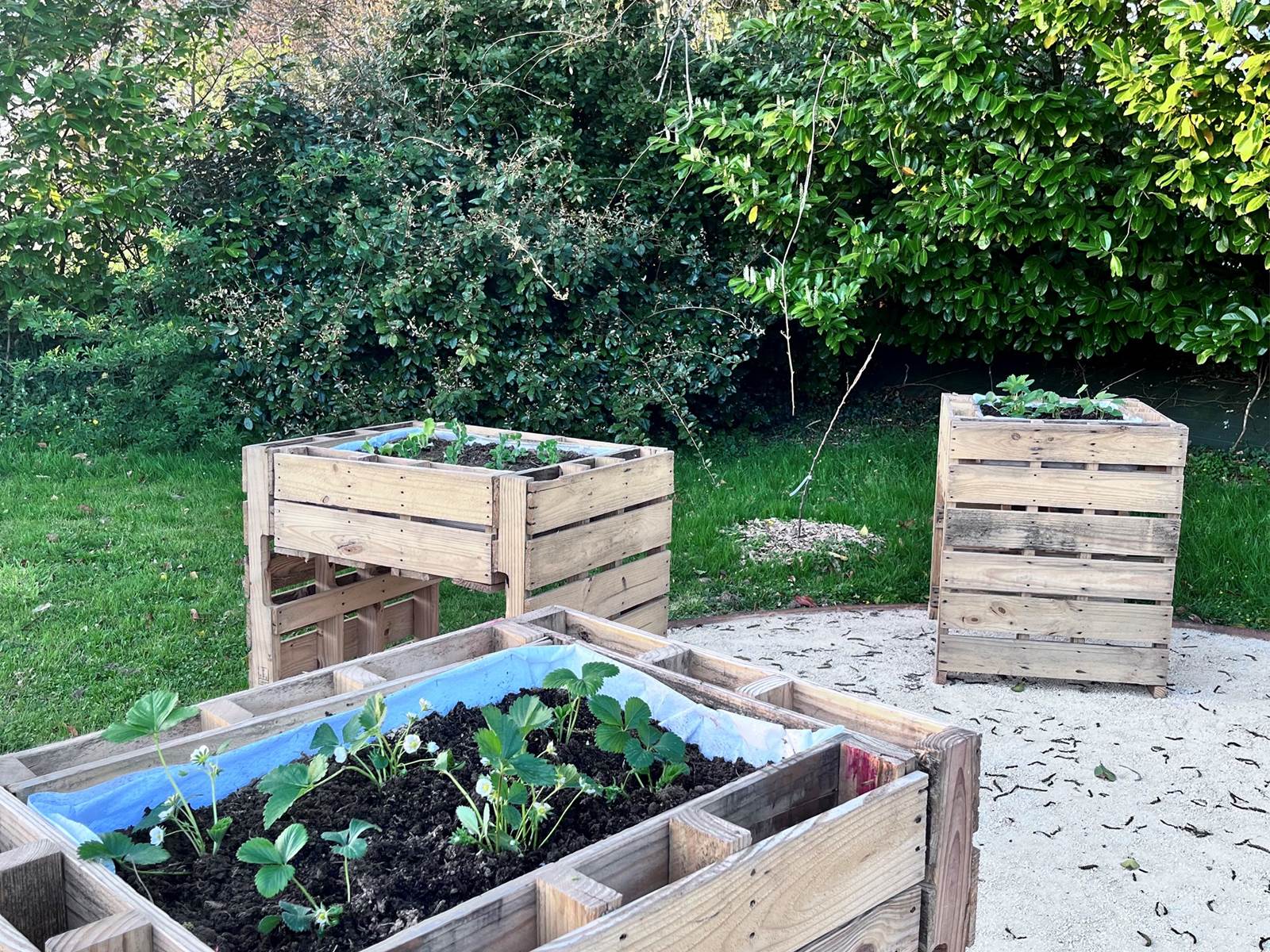 Jardin partagé avec jardinière PMR