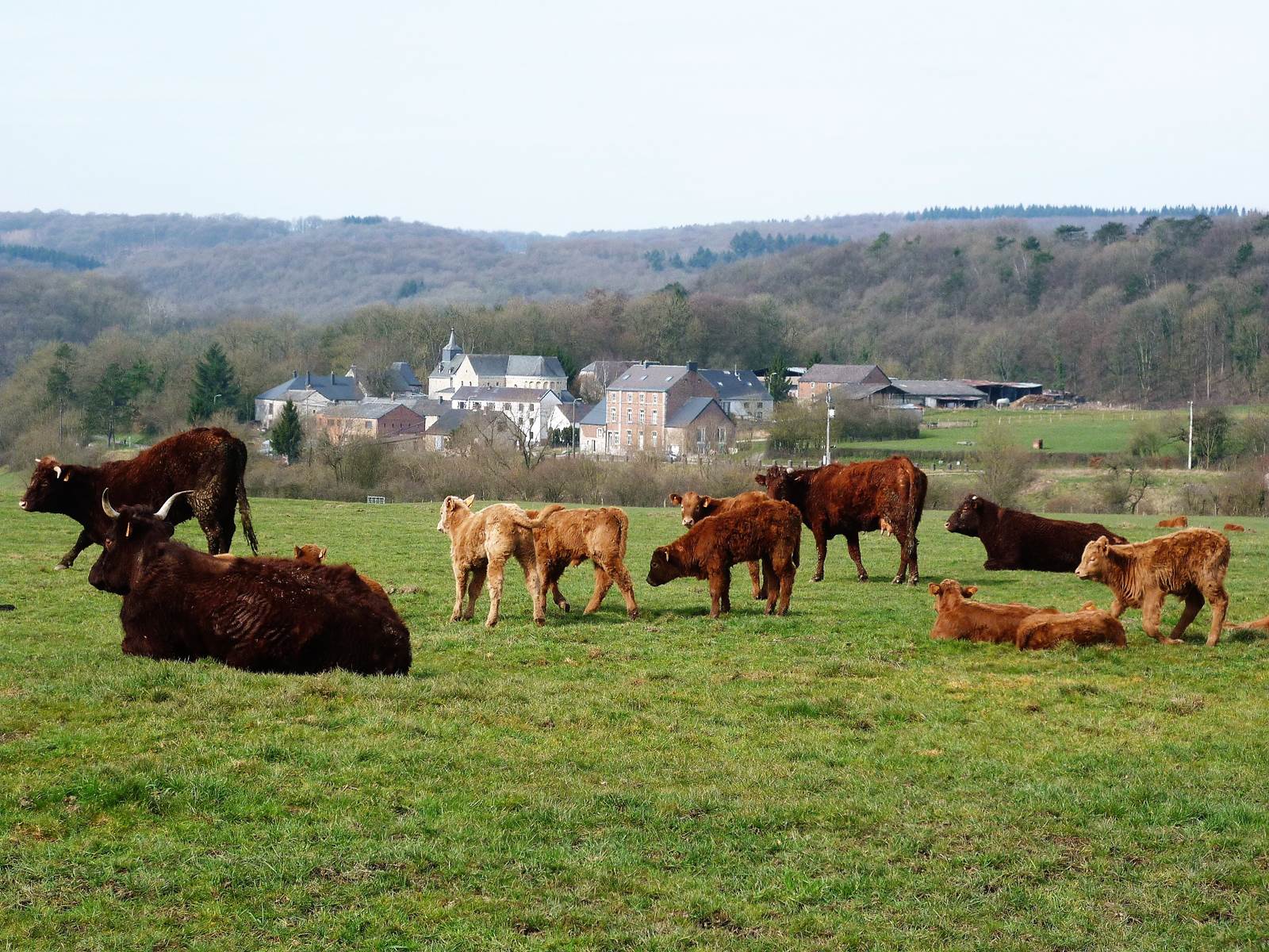 Le hameau rural de Xhignesse logé dans la verdure