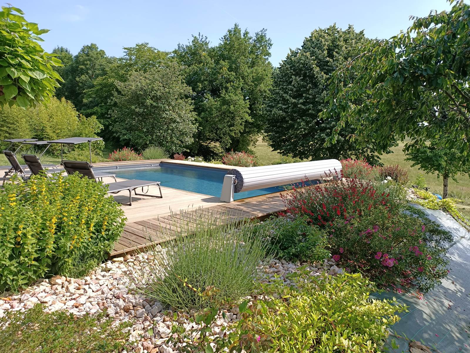 Piscine et la végétation qui l'entoure