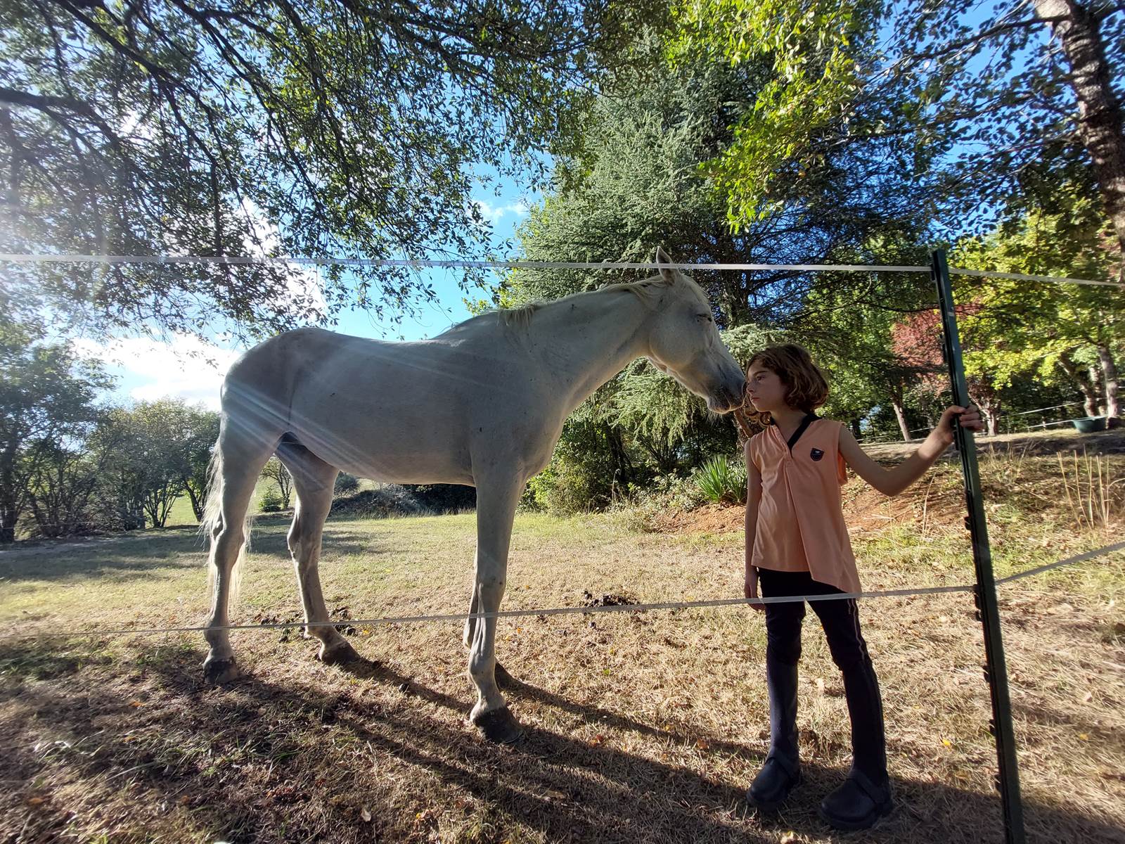 Domaine_de_Calabel©_Pouylebon_vacances_piscine_gers_cheval_poney-carousel