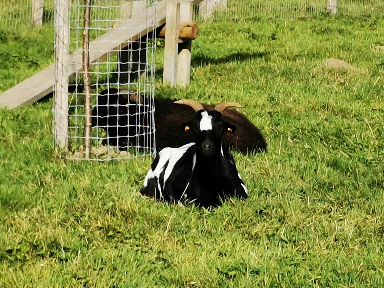 393268878_249199121070309_9110465386266817567_n