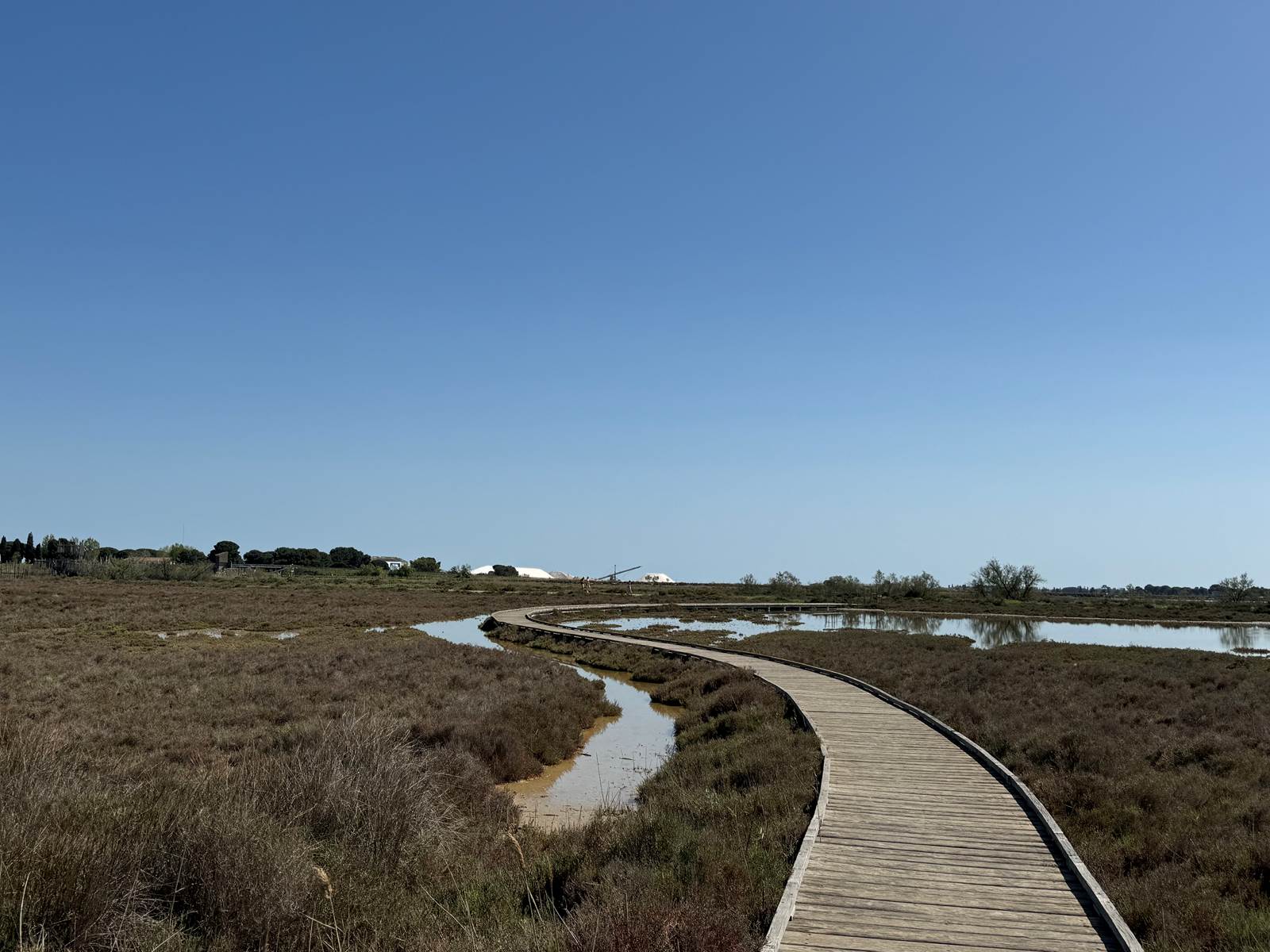 Sentier de la Marette à Aigues-Mortes