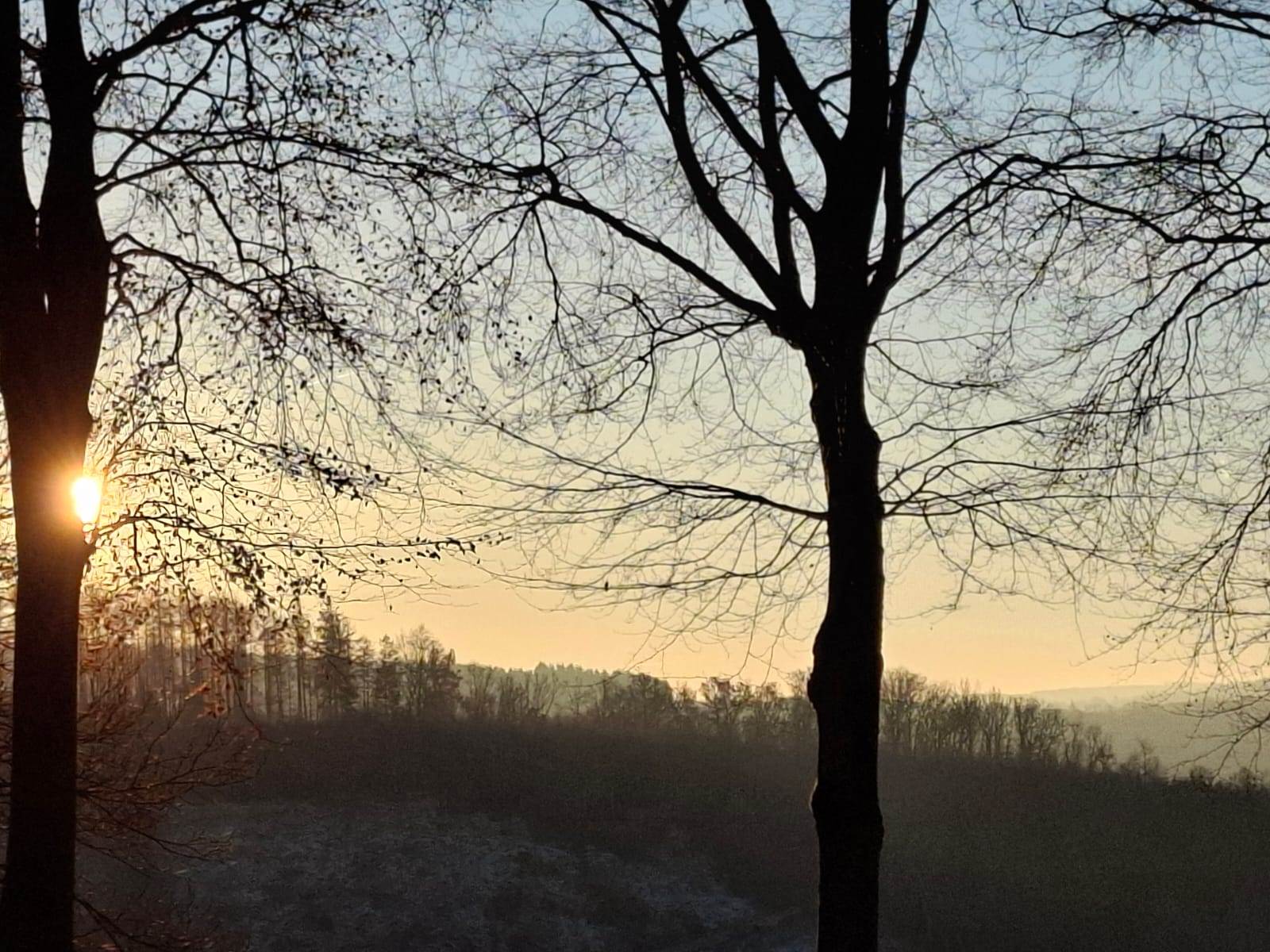 IMG-20241203-WA0013-carousel