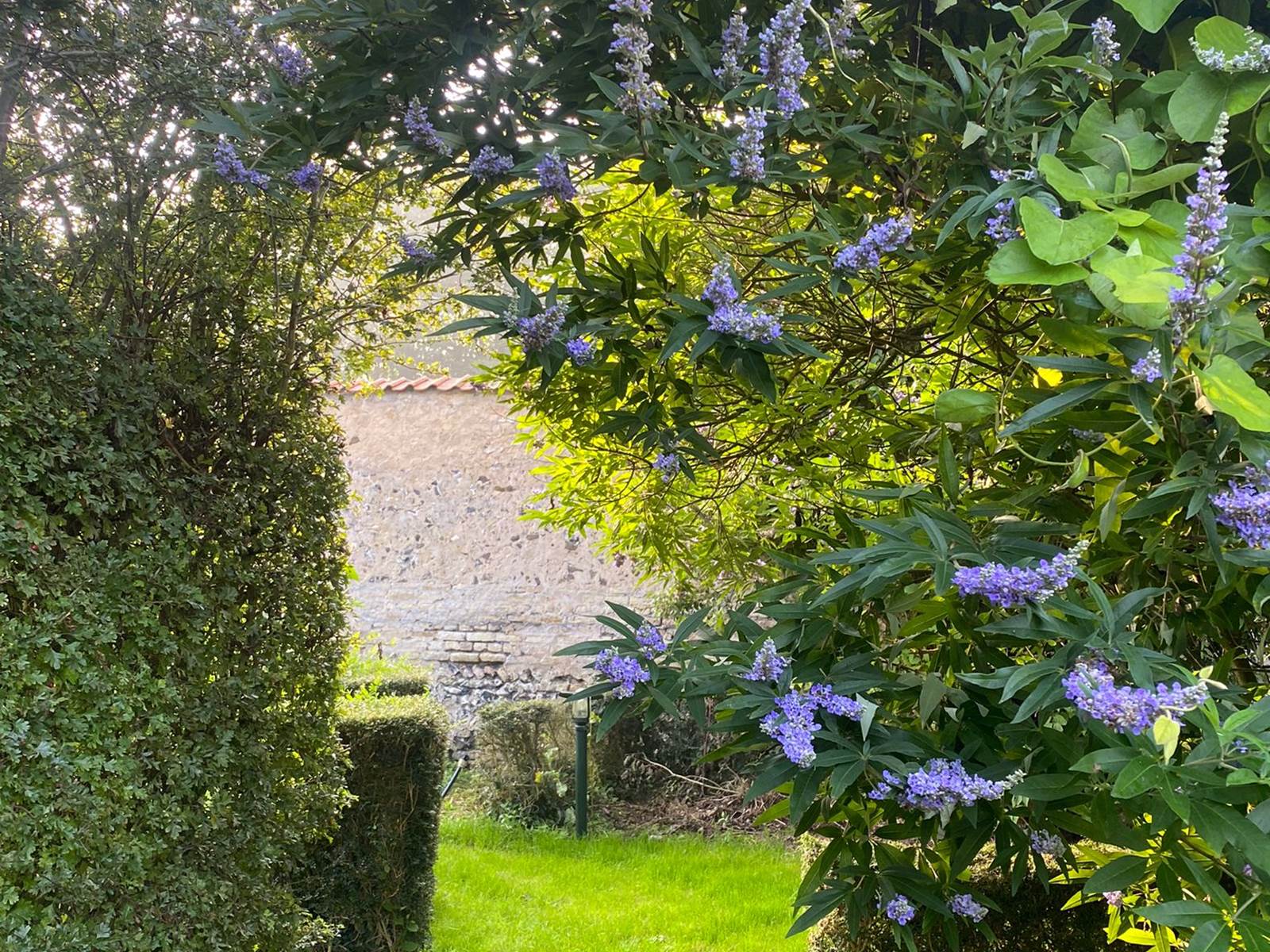 vue sur jardin de la chambre la rêveuse