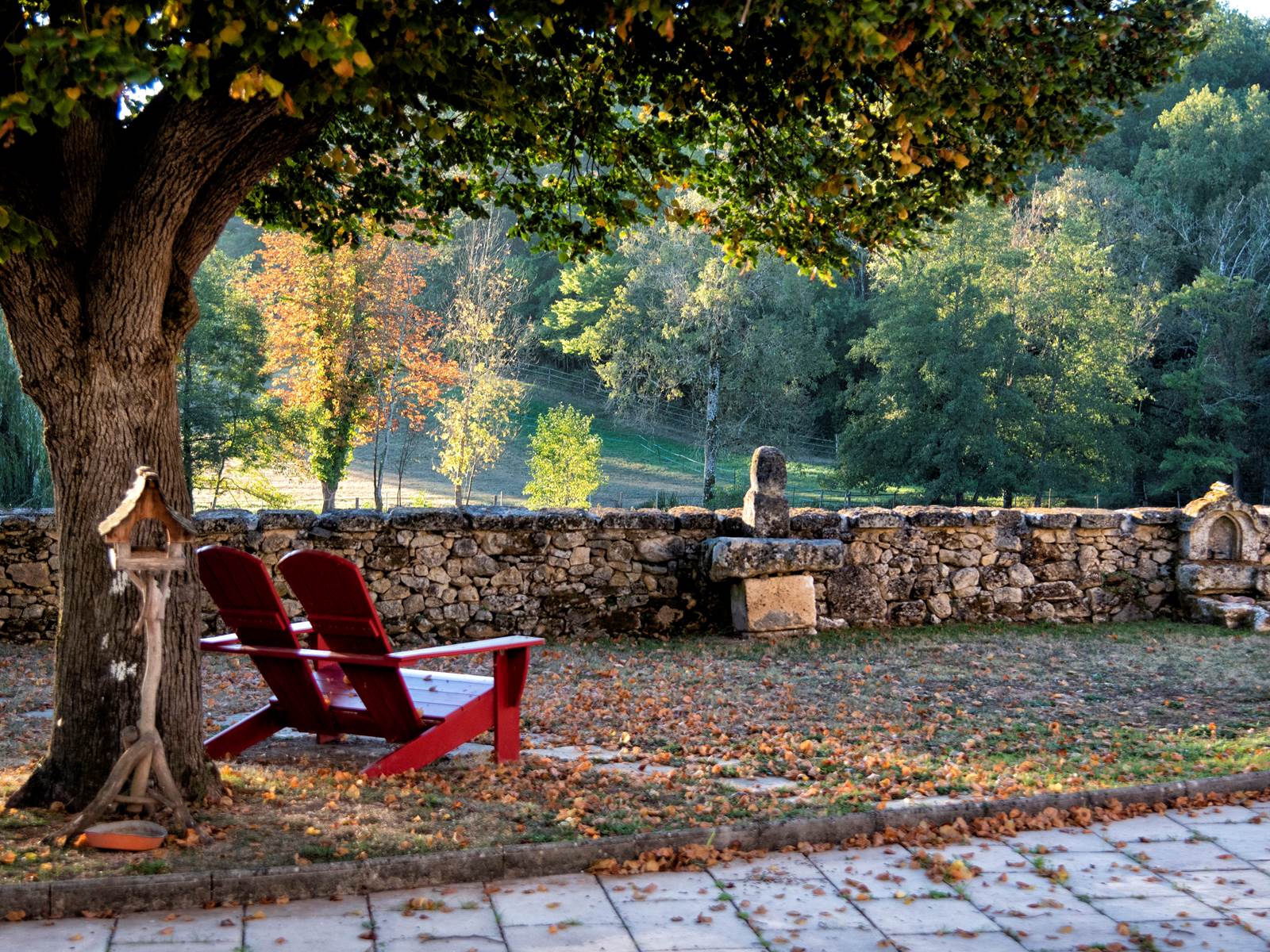 Jardin et Terrasse Cour Fermée