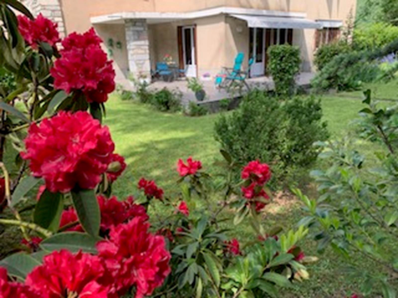 Jardin fleuri et verdoyant