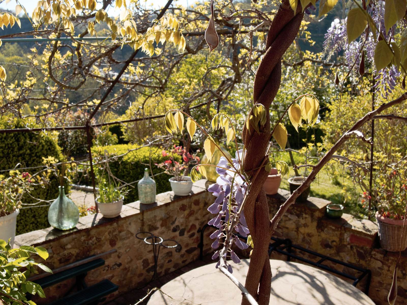 ERMITAGE SAINT-VINCENT - Sous la glycine-carousel