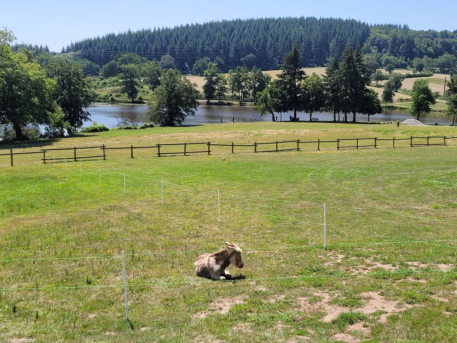 vue sur l'étang-carousel