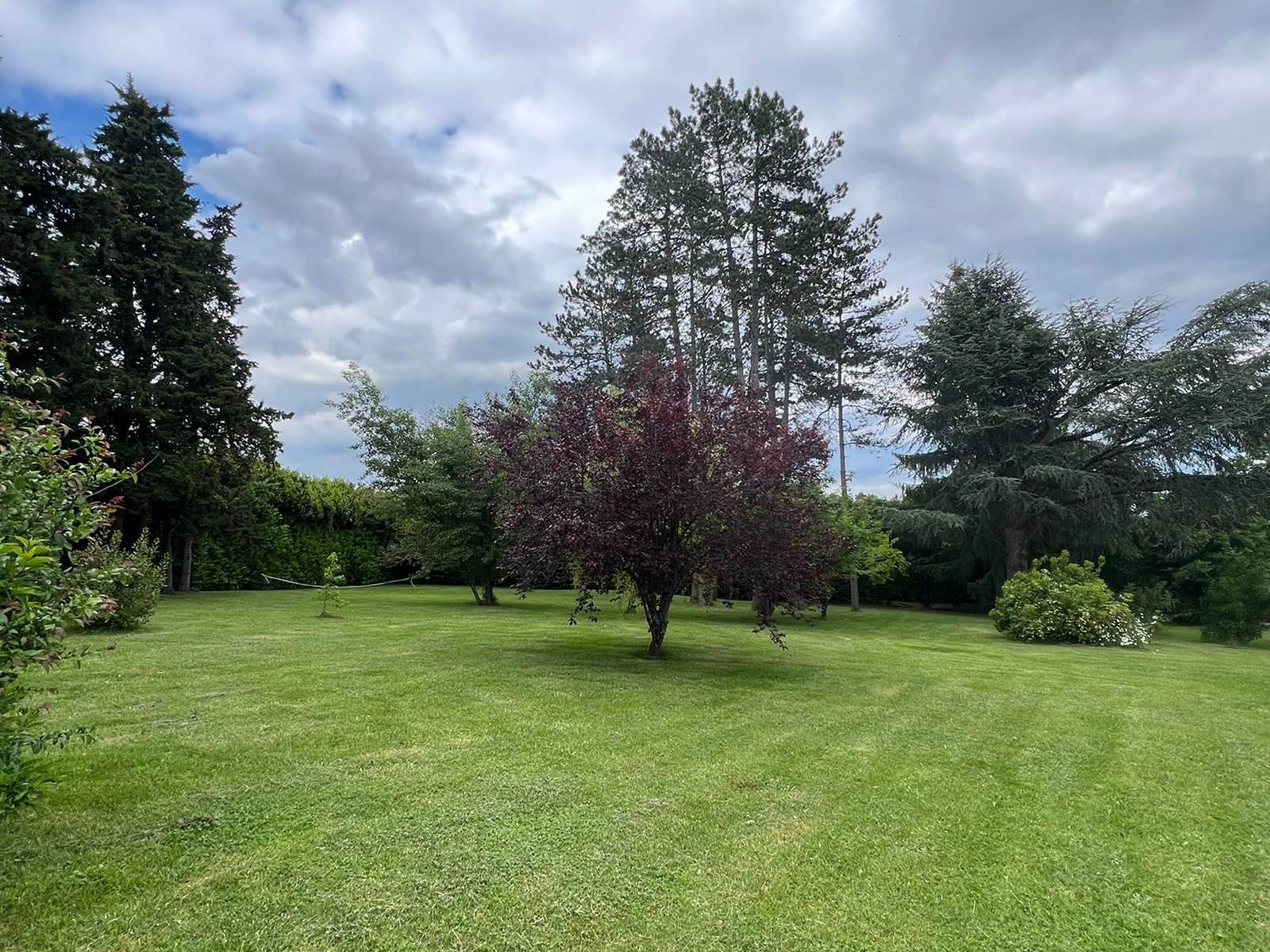 Vue Jardin arboré 2