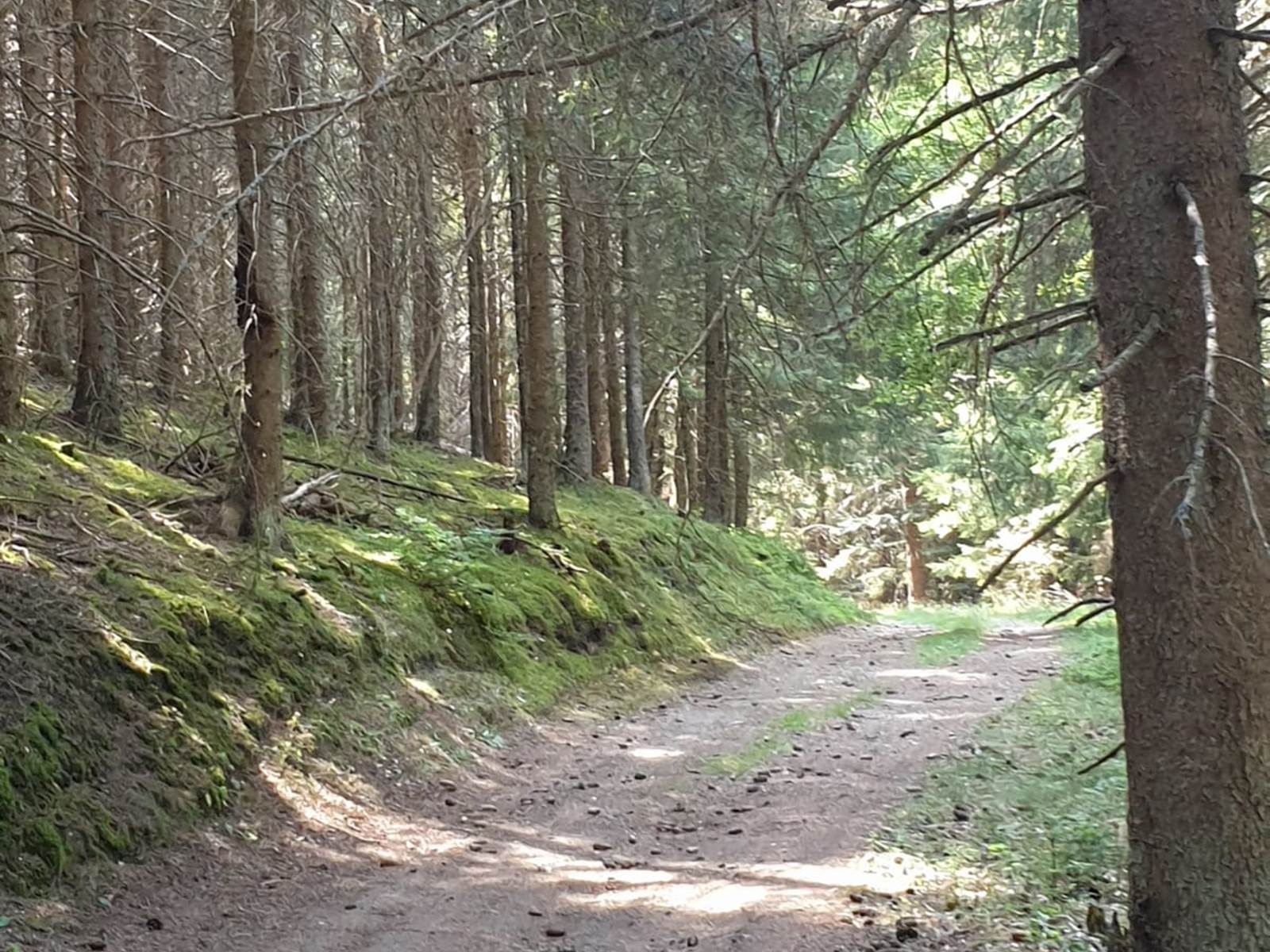 CHEMIN DE RANDONNEE 1