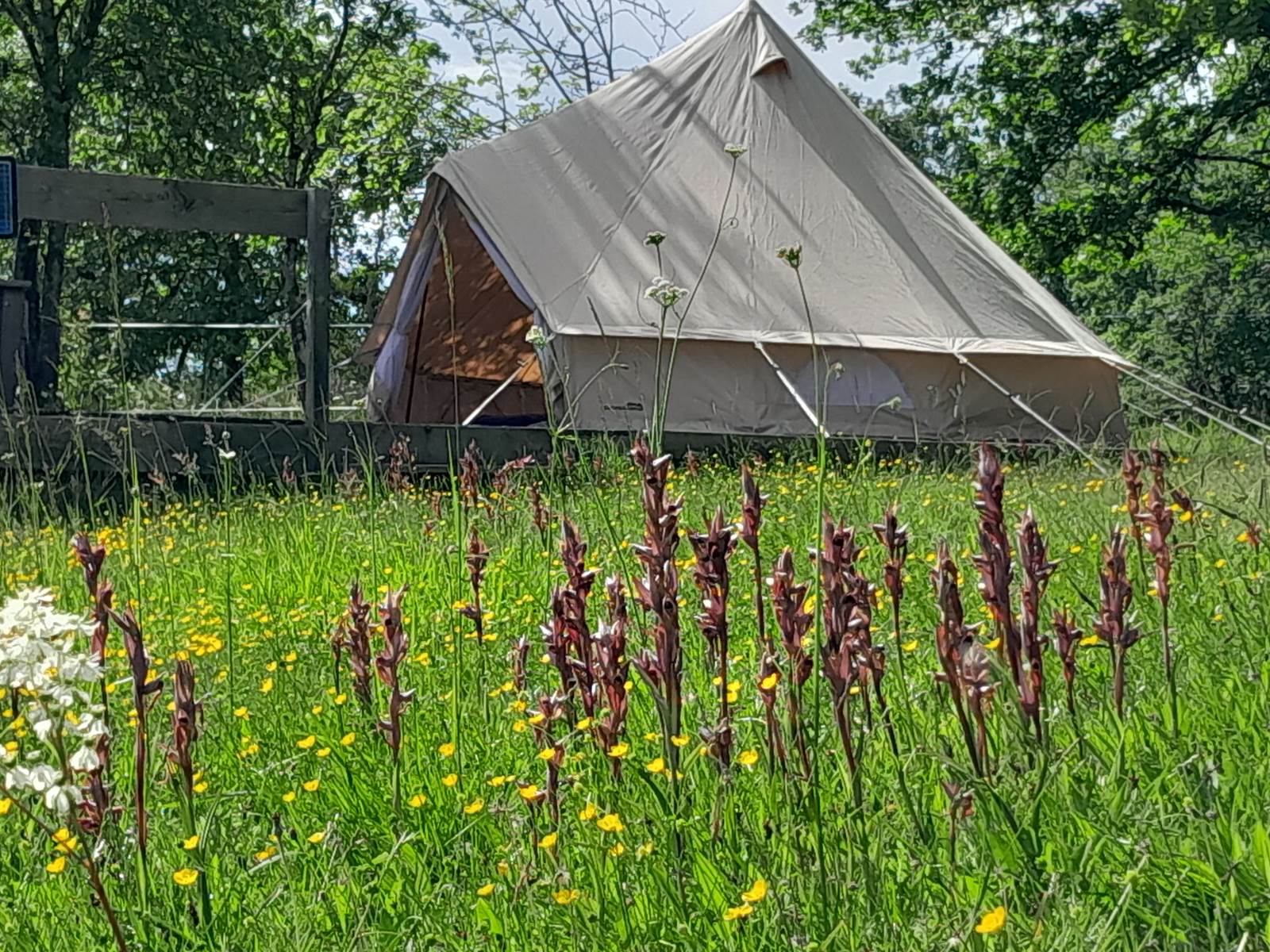 Domaine_de_Calabel©_Pouylebon_vacances_piscine_gers-carousel