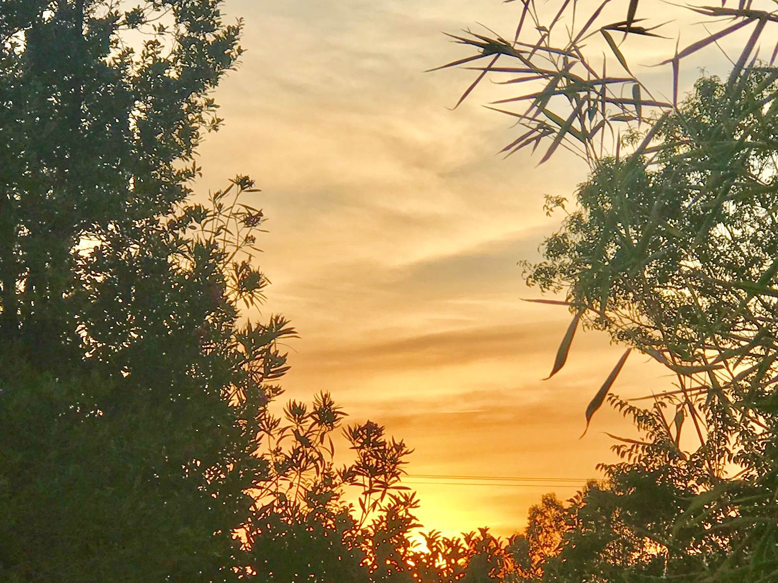 Coucher de soleil août 2019