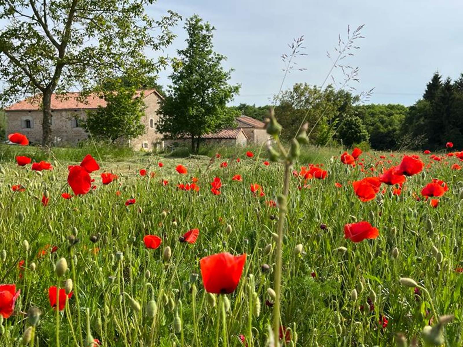 Chambre d'hôtes Tendance Campagne Jardin