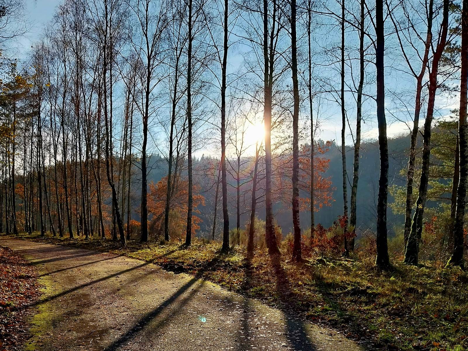 Barrage du Ry de Rome-carousel
