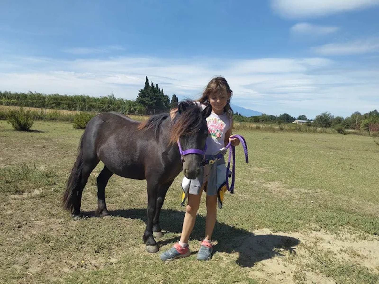 balade à poney Pyrénées-Orientales  promenade poney 66  activité enfant Pyrénées-Orientales  poney club 66  centre équestre Pyrénées-Orientales  balade à cheval 66  activité famille Pyrénées-Orientales  équitation enfant 66  balade à poney près de Perpignan  balade à poney bompas, claira, toreilles, barcares, canet en roussillon, sainte marie, Thuir, Pézilla, elne, cabestany, rivesaltes, saint estève-galerie