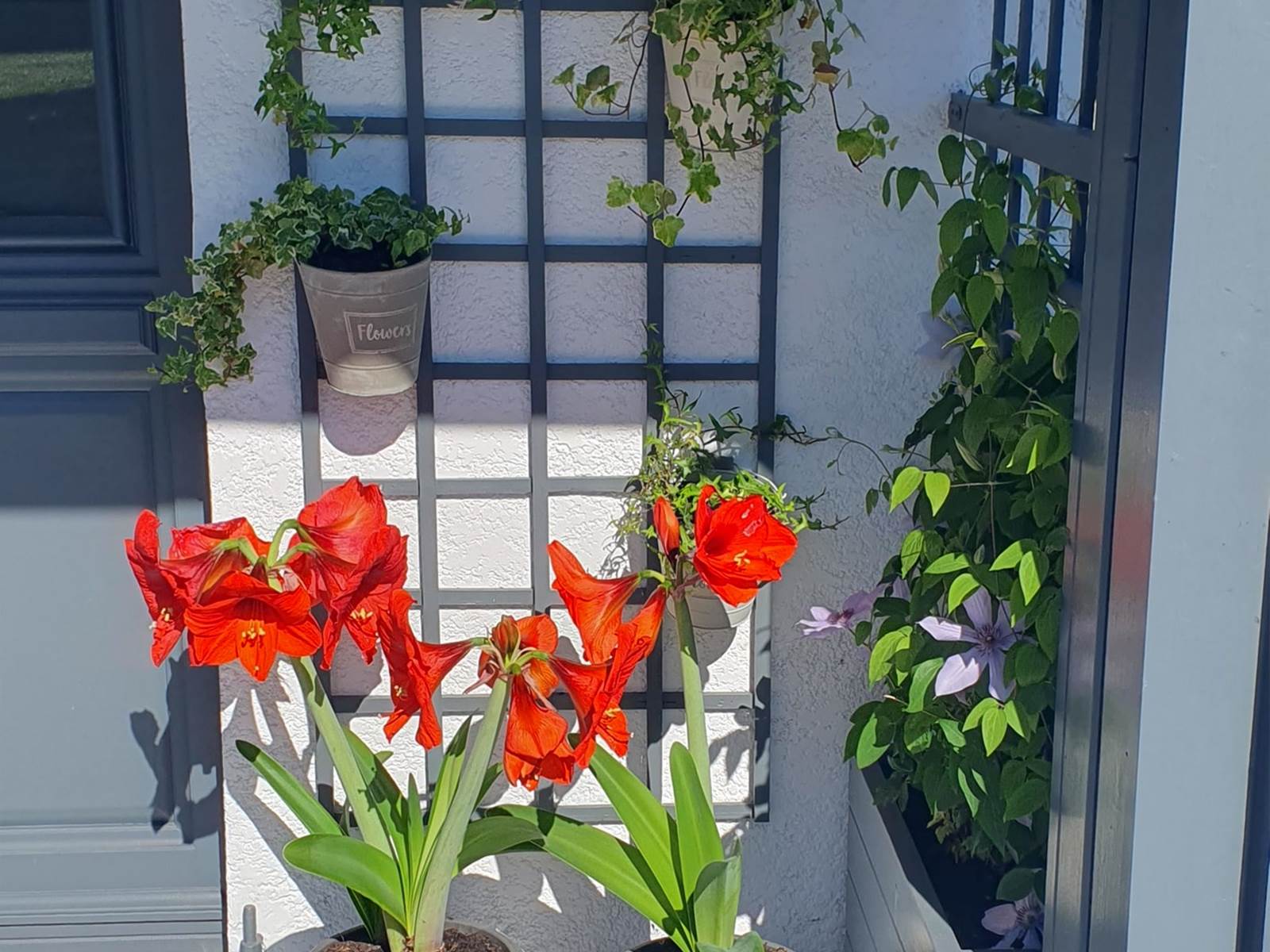 terrasse fleurie