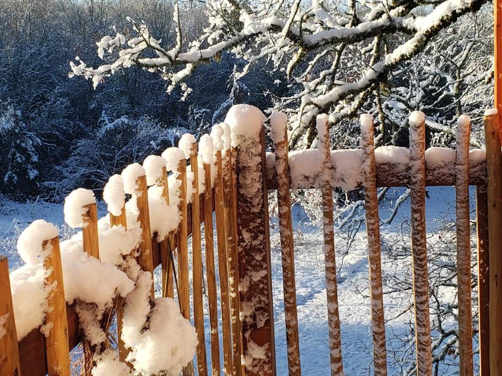 La neige s'invite "Au coeur de nos bois"
