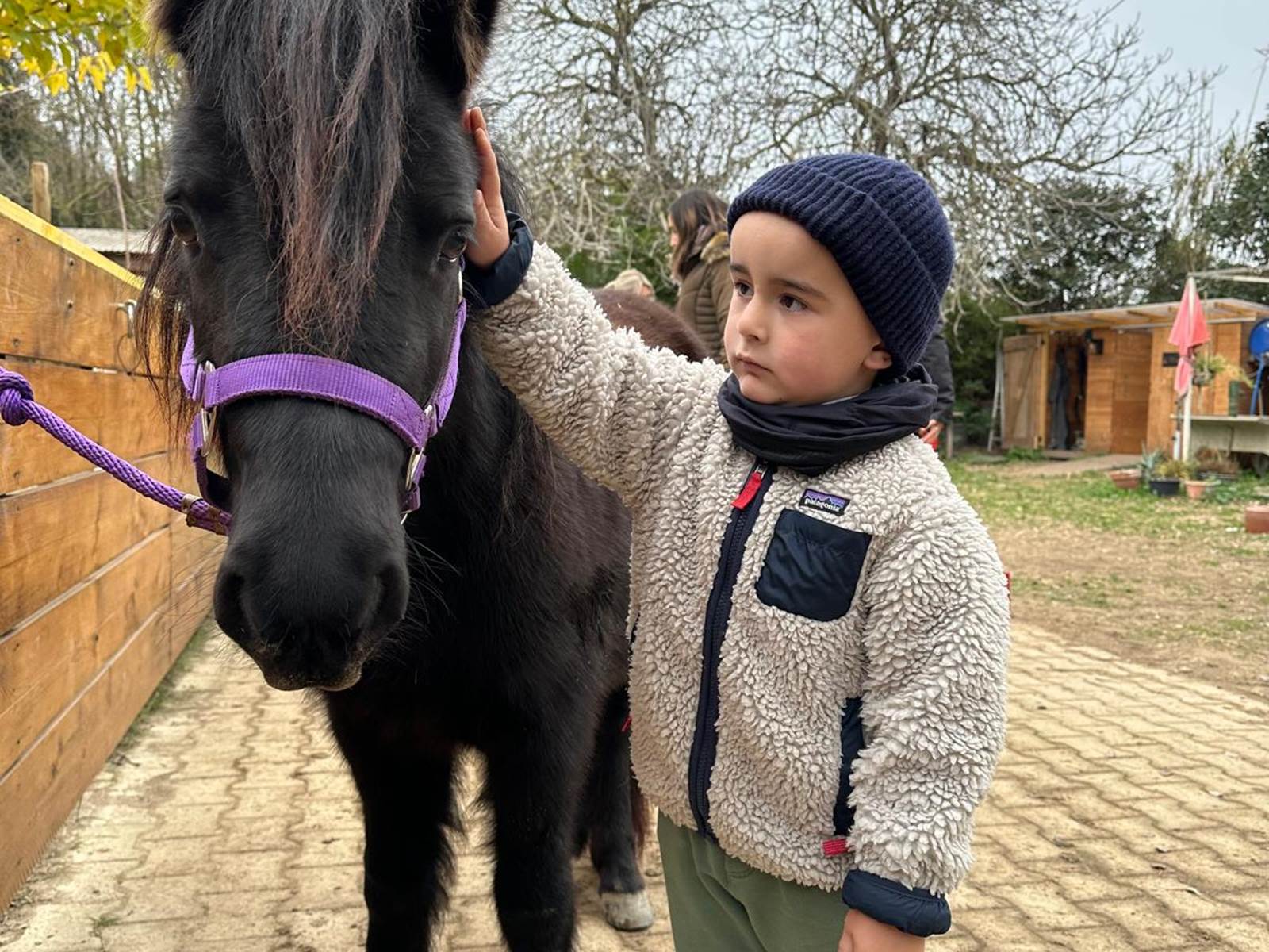 balade à poney Pyrénées-Orientales  promenade poney 66  activité enfant Pyrénées-Orientales  poney club 66  centre équestre Pyrénées-Orientales  balade à cheval 66  activité famille Pyrénées-Orientales  équitation enfant 66  balade à poney près de Perpignan  balade à poney bompas, claira, toreilles, barcares, canet en roussillon, sainte marie, Thuir, Pézilla, elne, cabestany, rivesaltes, saint estève-galerie
