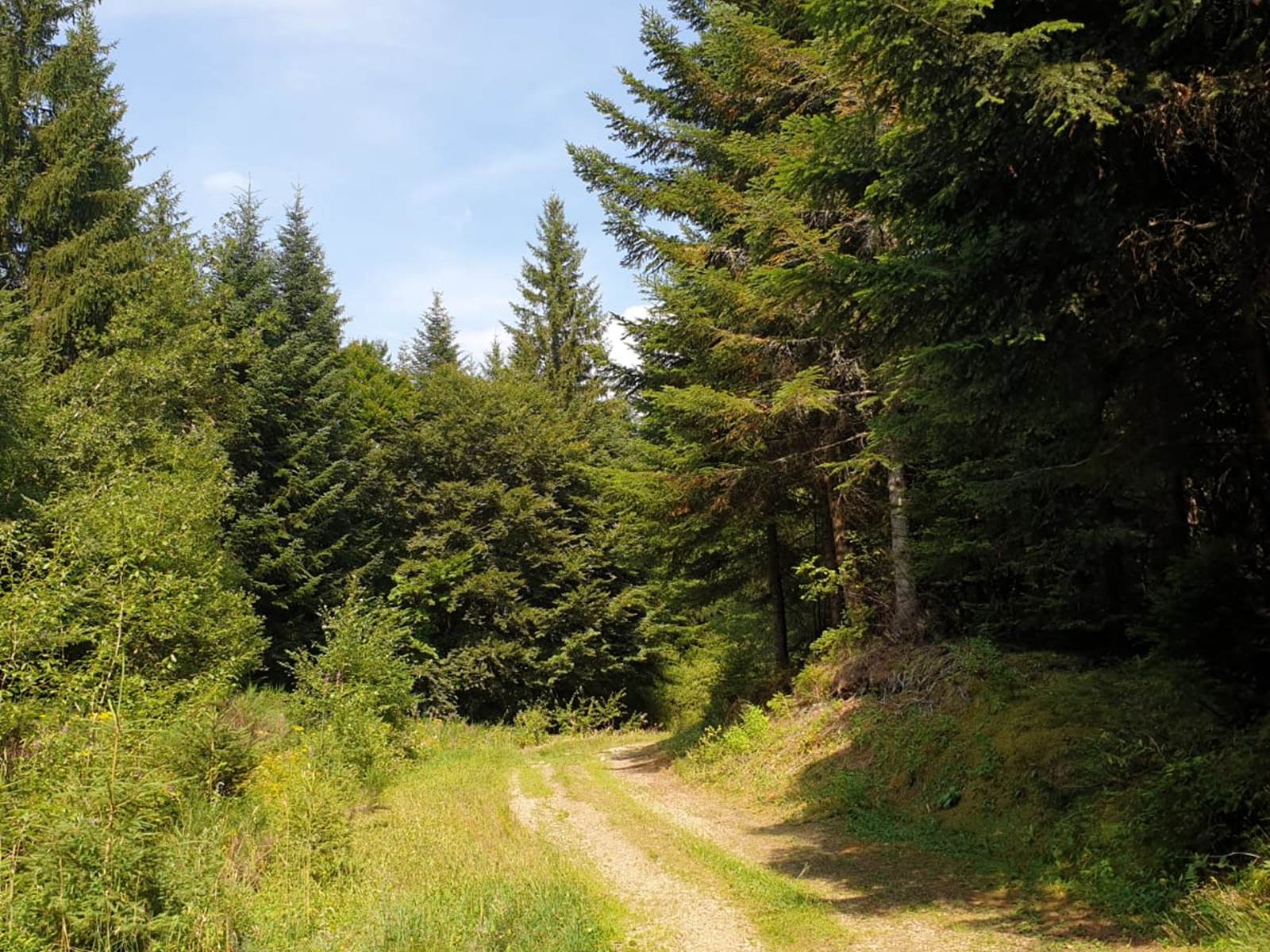 CHEMIN DE RANDONNEE