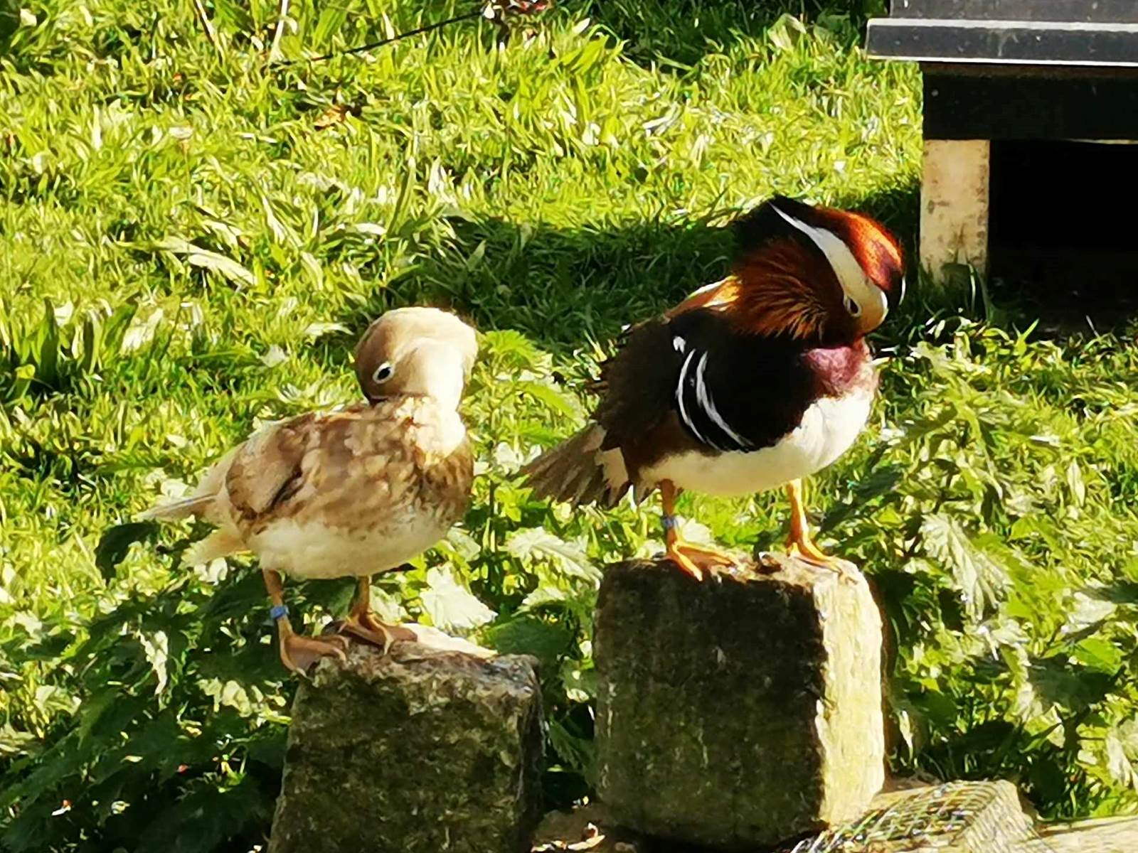 370294905_298004513020788_8053860846025815537_n