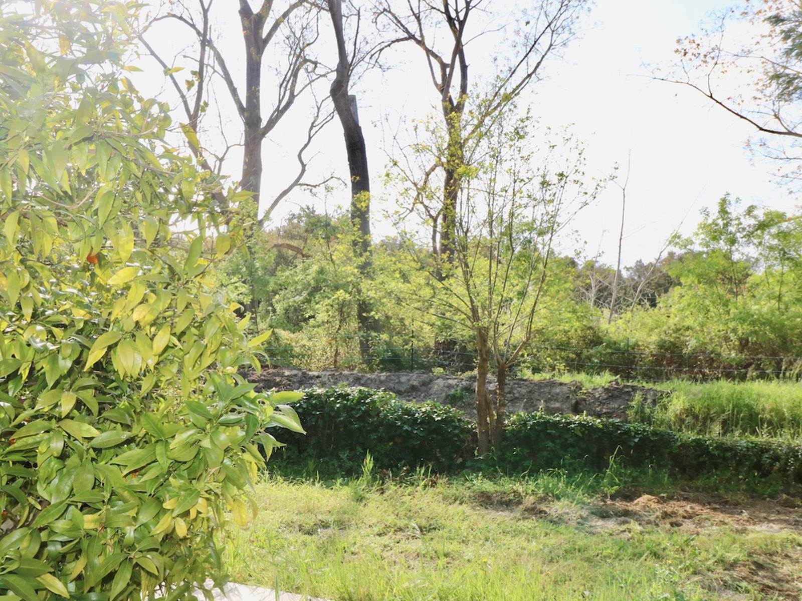 Gites Terra di a Bravona - Appartement O'Ma Vue sur Jardin