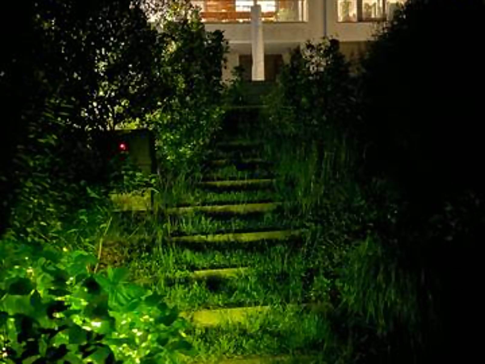 39-La villa horizon-jardin 4