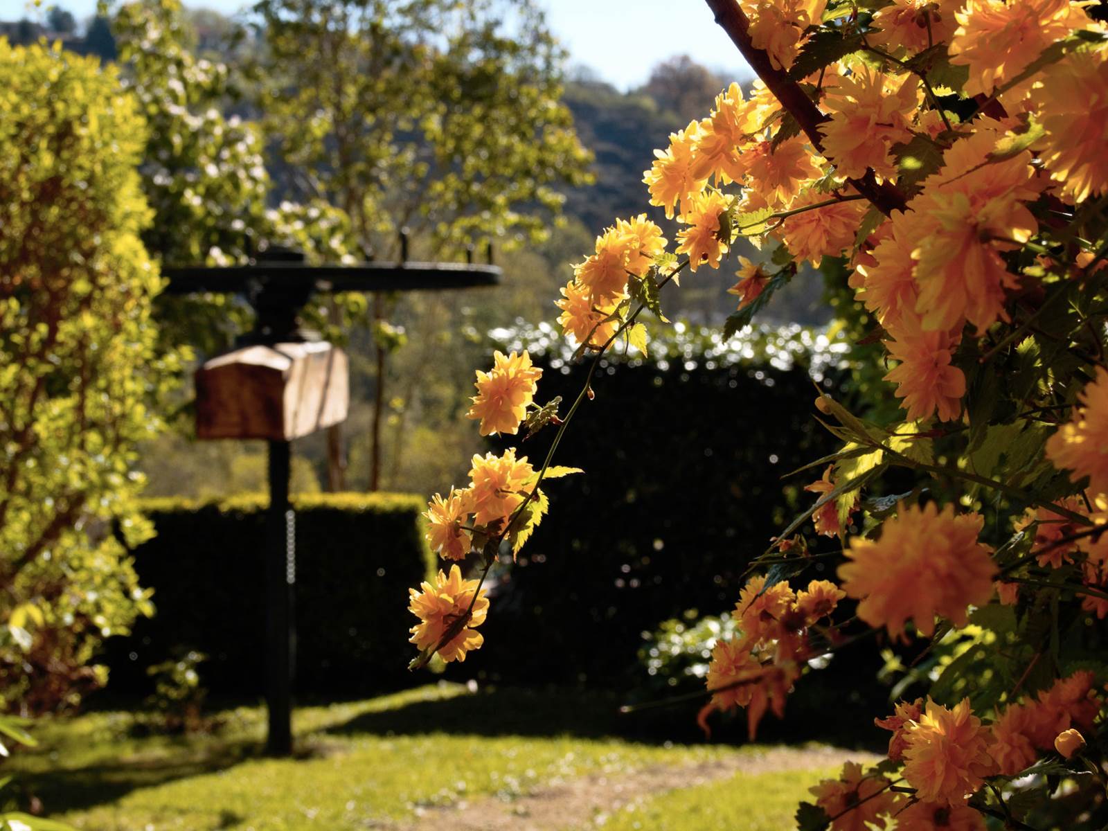 ERMITAGE SAINT-VINCENT - Pressoir et Jardin-carousel