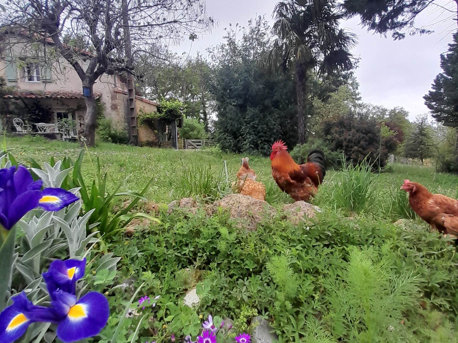 Domaine_de_Calabel©_Pouylebon_vacances_piscine_gers-carousel