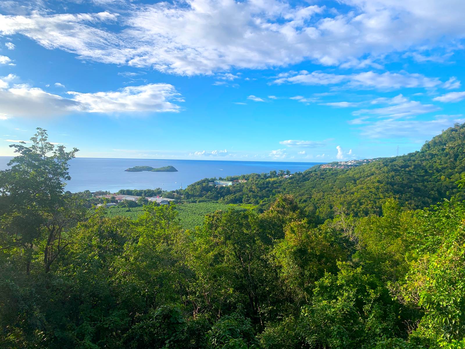 Vue panoramique depuis la vigie de la chambre à l'étage