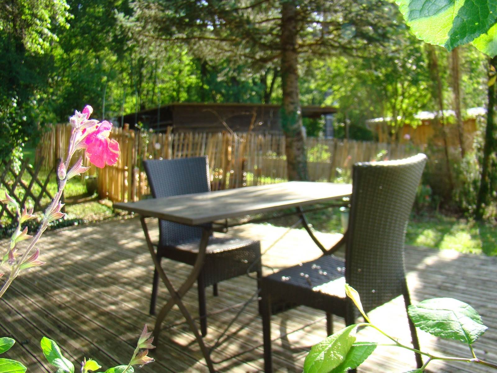 Terrasse chambre prune
