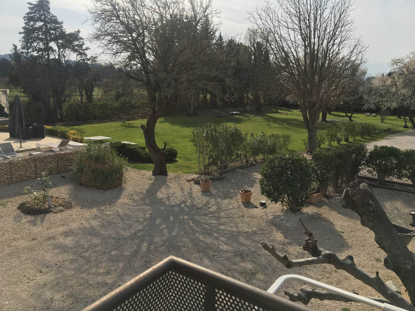 vue jardin