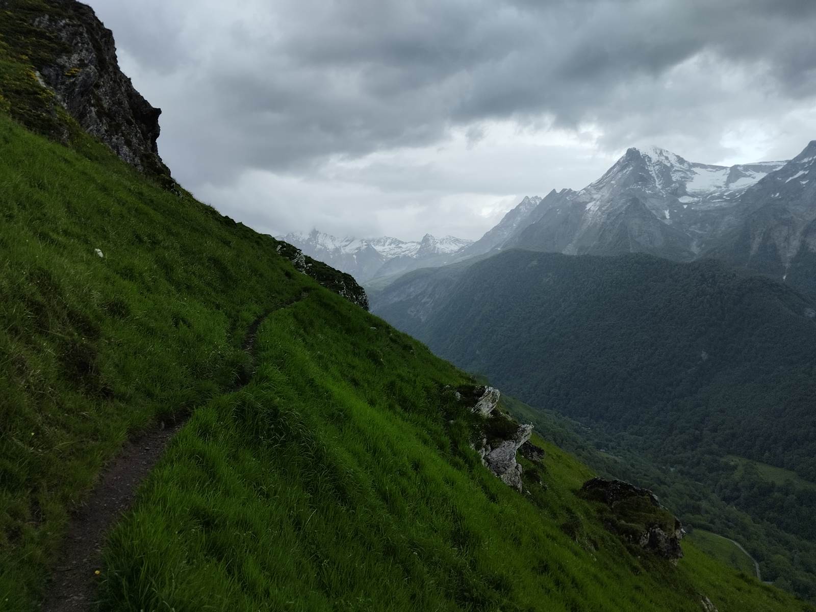 MONTAGNE VERT AAS