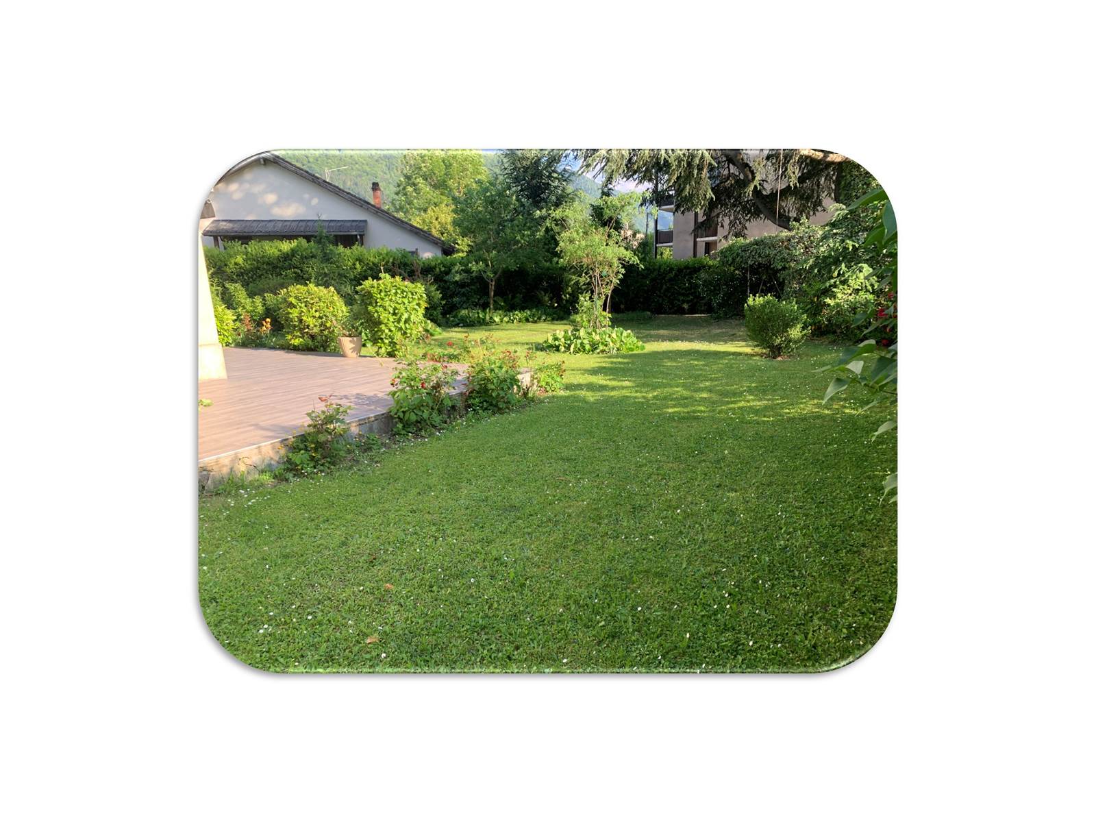 Jardin3 fond blanc
