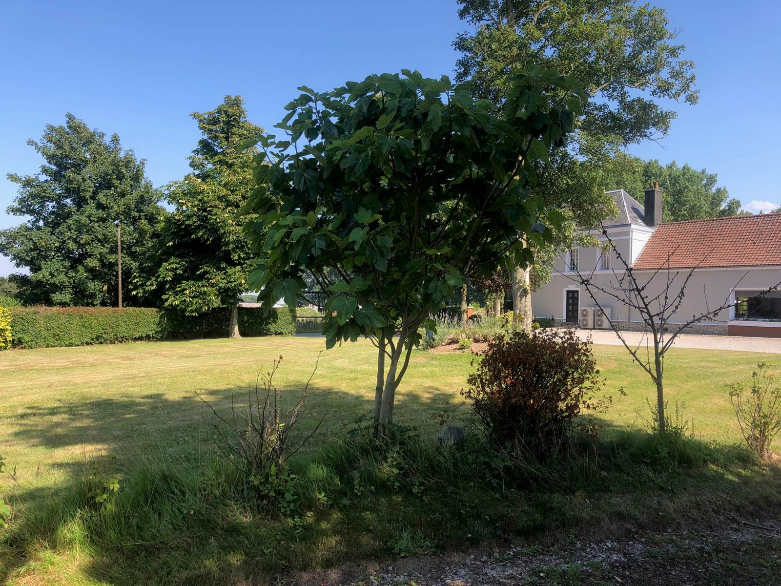 La sérénité de la Bercerie