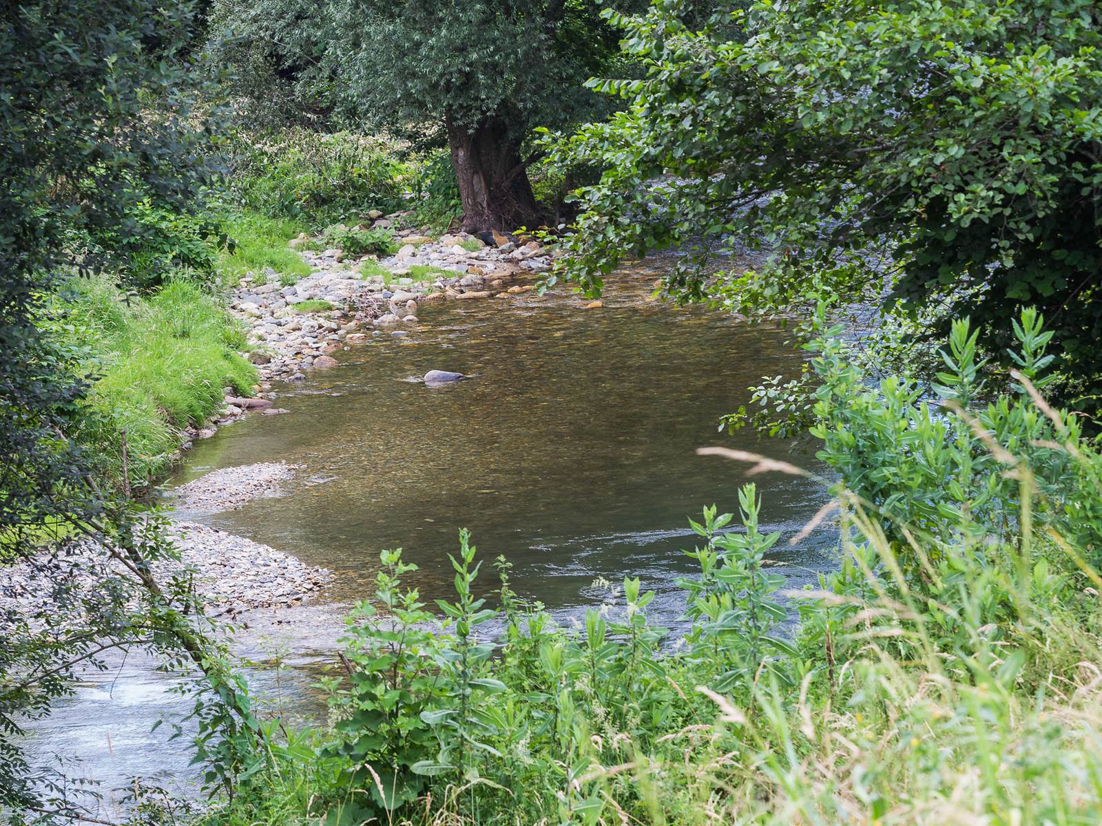 Maison joangi rivière