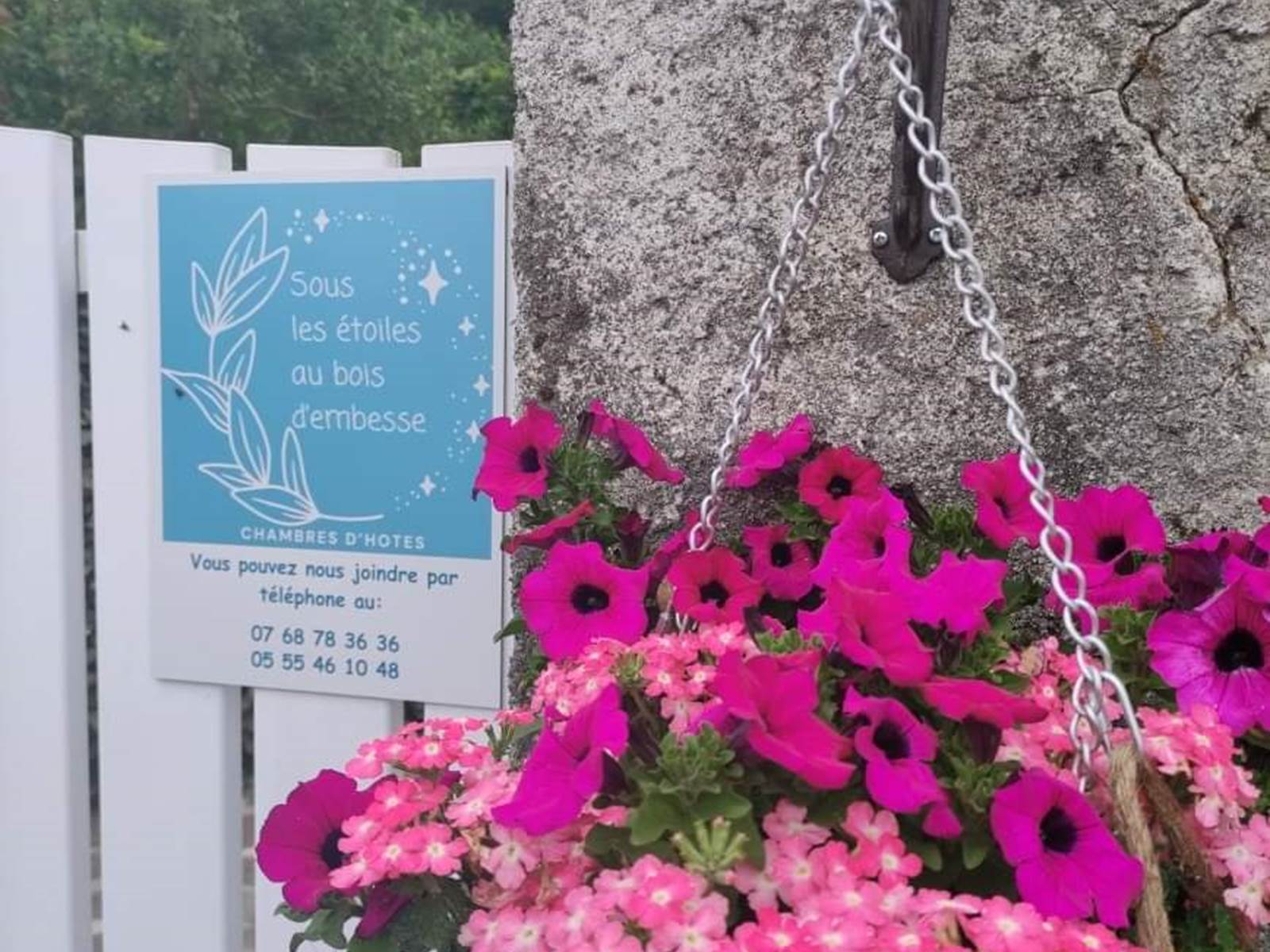 chambreshotes-fleurs-été-couleurs-hautecorrèze