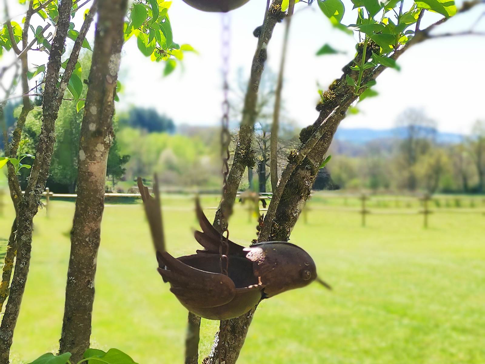 chambreshotes-jardin-oiseaux-sérénité-hautecorrèze