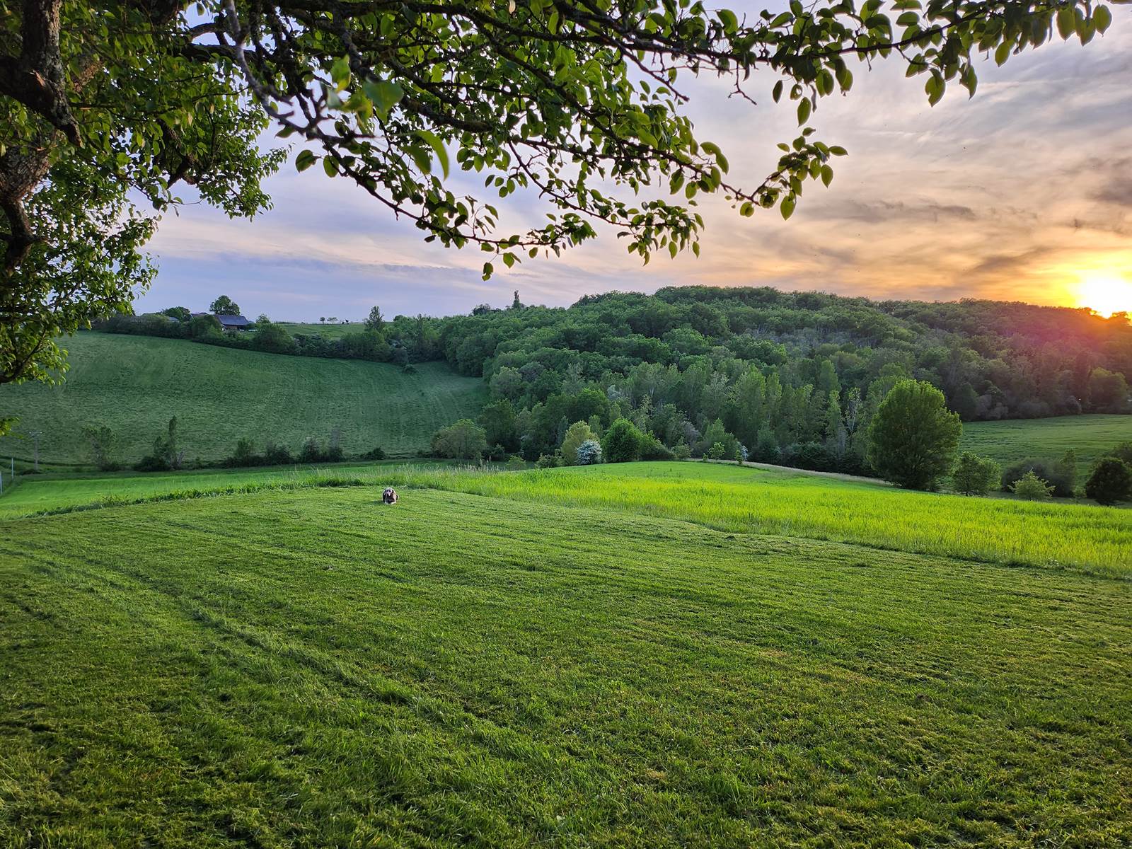 Le Domaine de Massoulac, votre Village de Gîtes pour les vacances