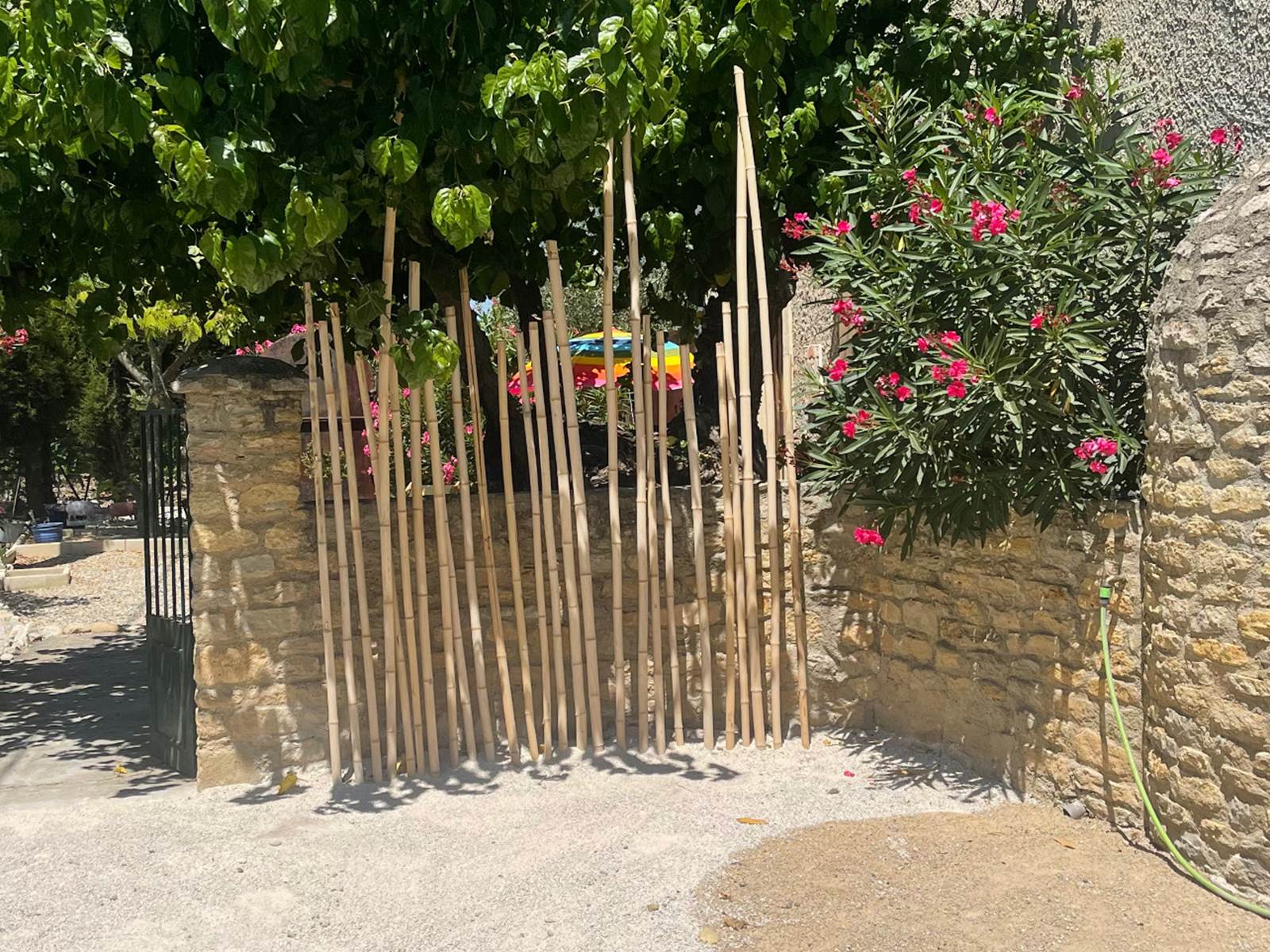 17D8DDB7-6184-49DA-A3B2-2EF048C2DB2B-carousel