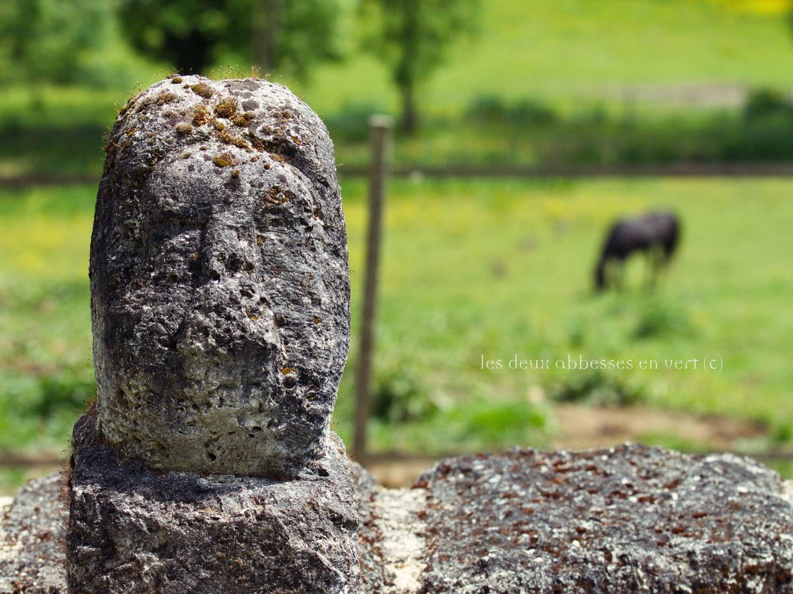 Façade Sud Ouest Fenêtre Chambre Epona