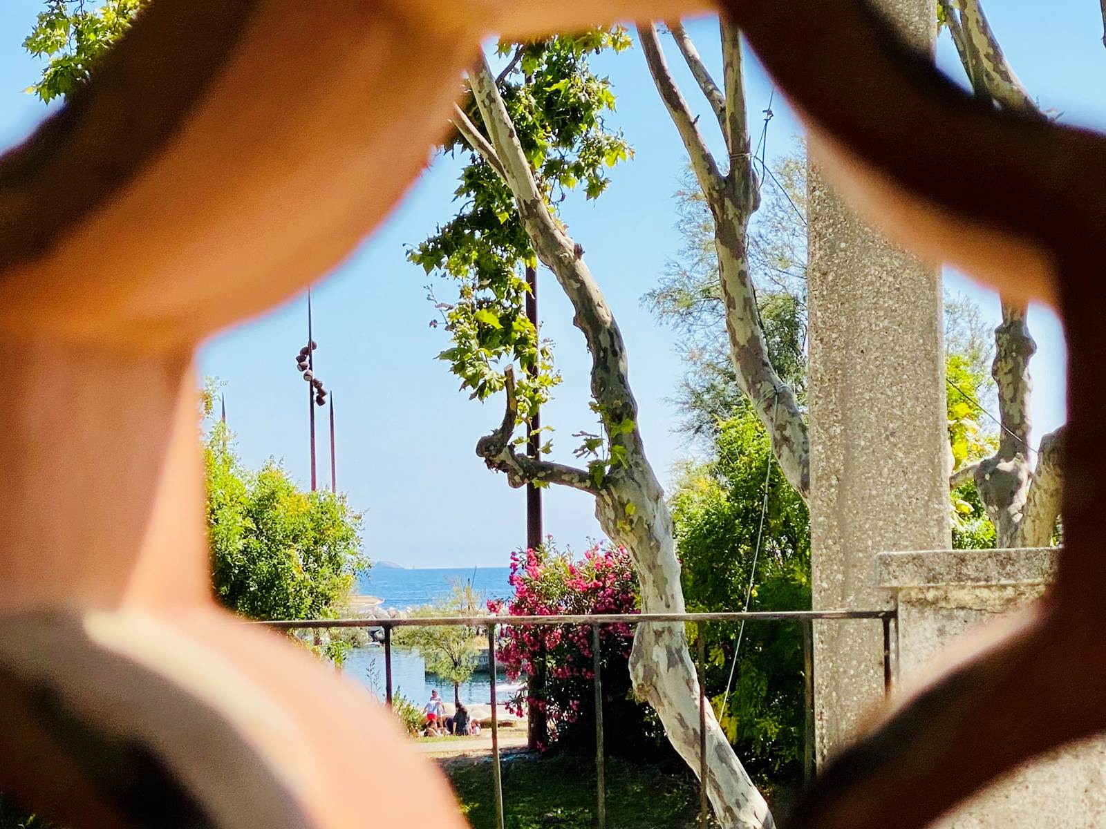 Vue depuis la terrasse couverte