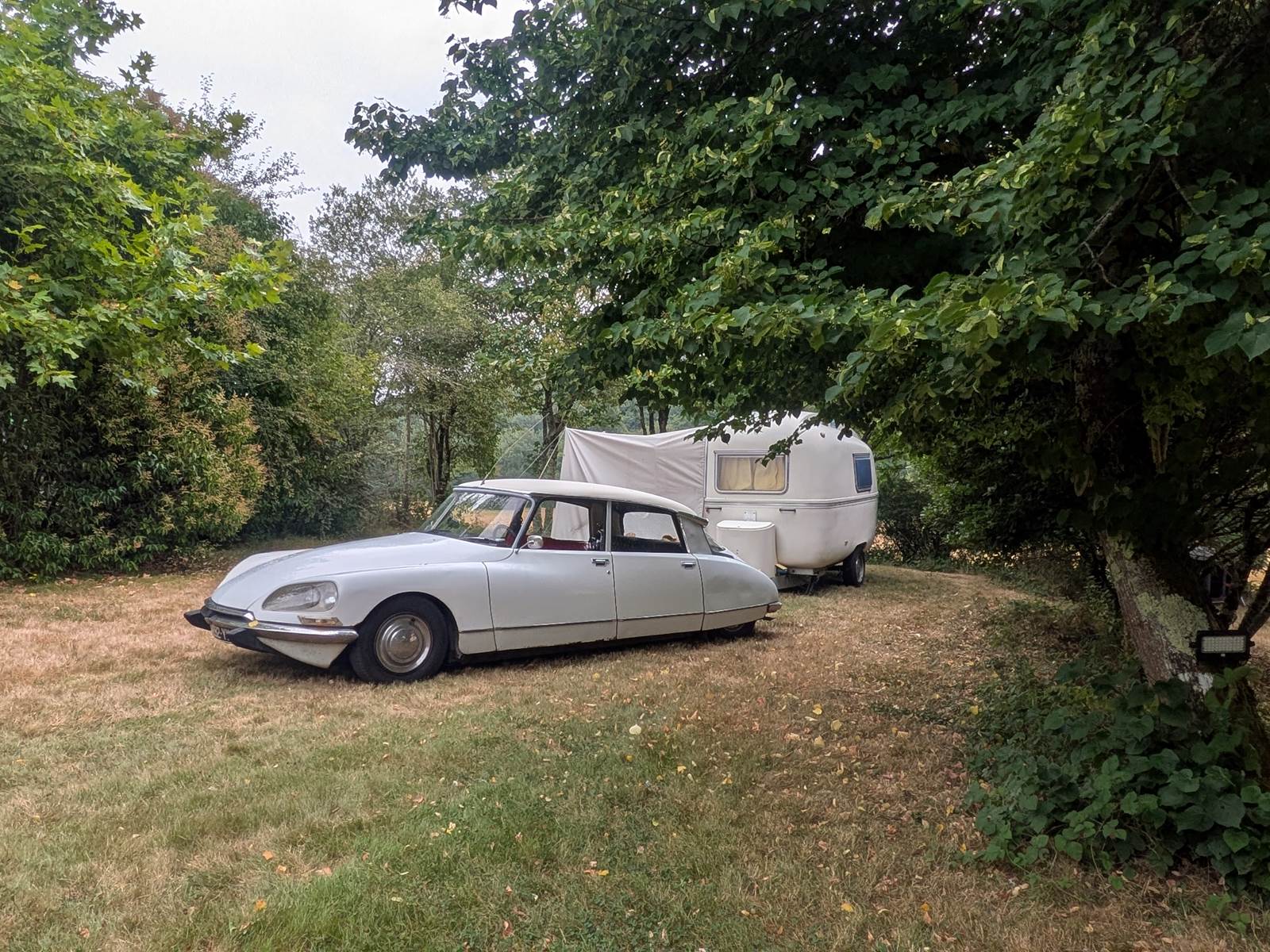 PXL_20250726_094238372-carousel