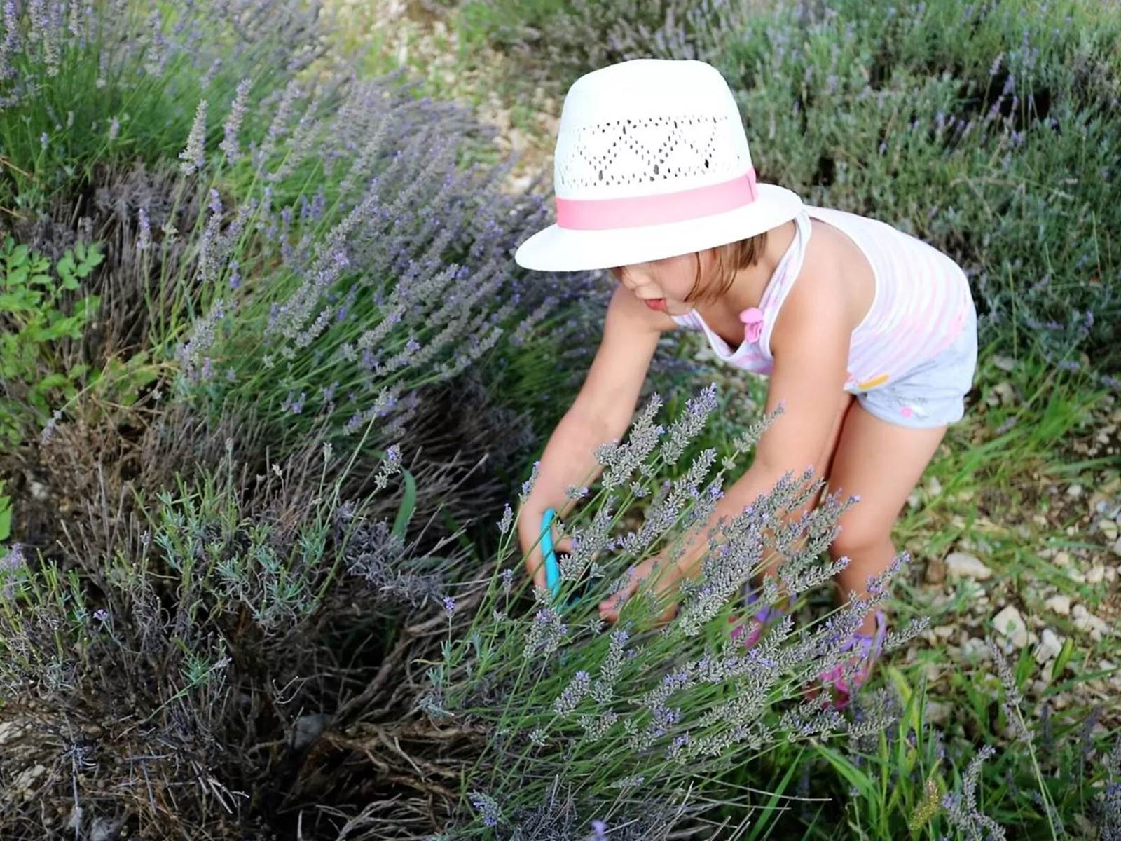Atelier de distillation, enfant