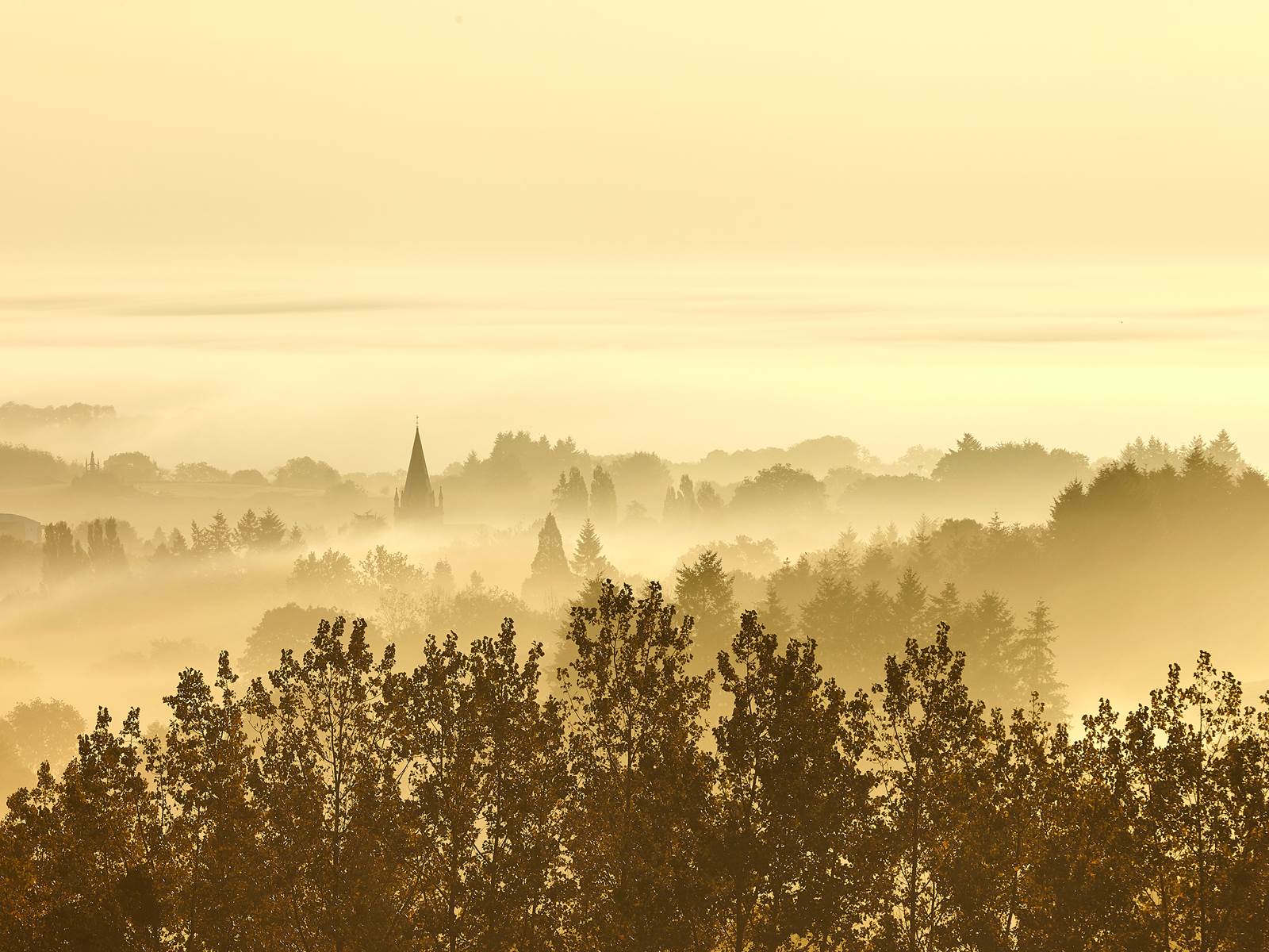 bocage vendéen-carousel