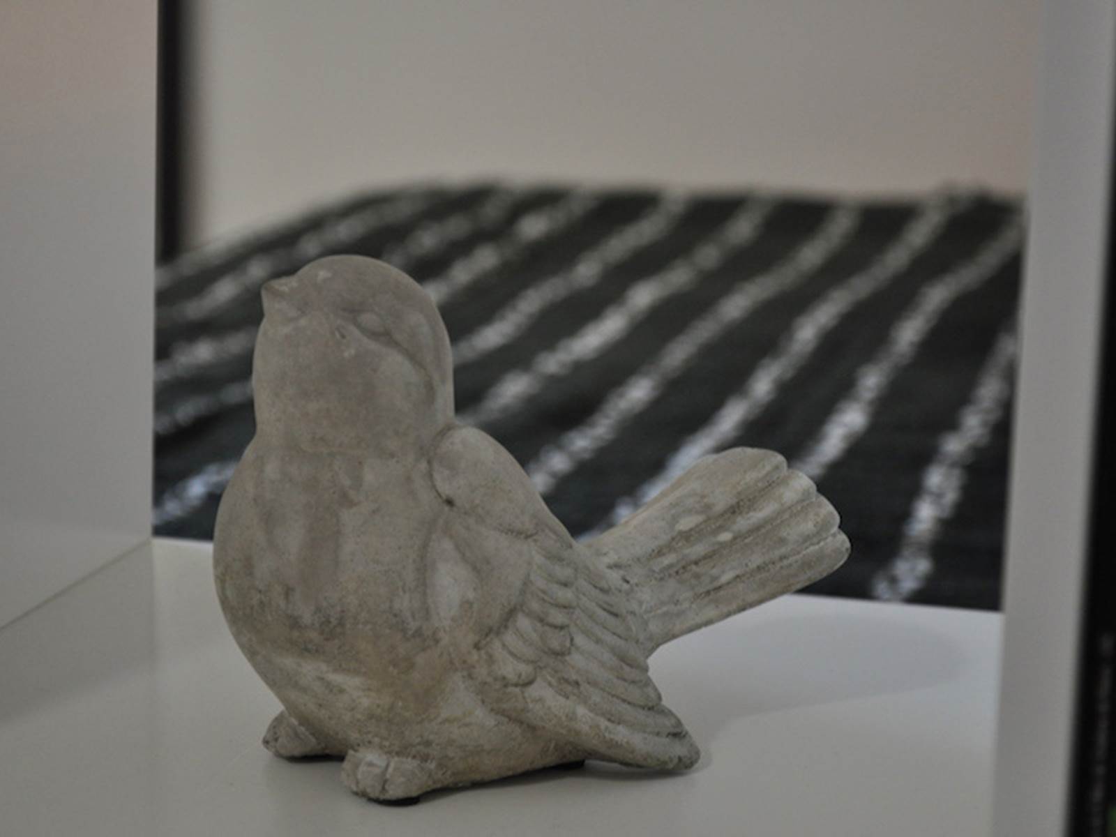 Un oiseau dans son nid !