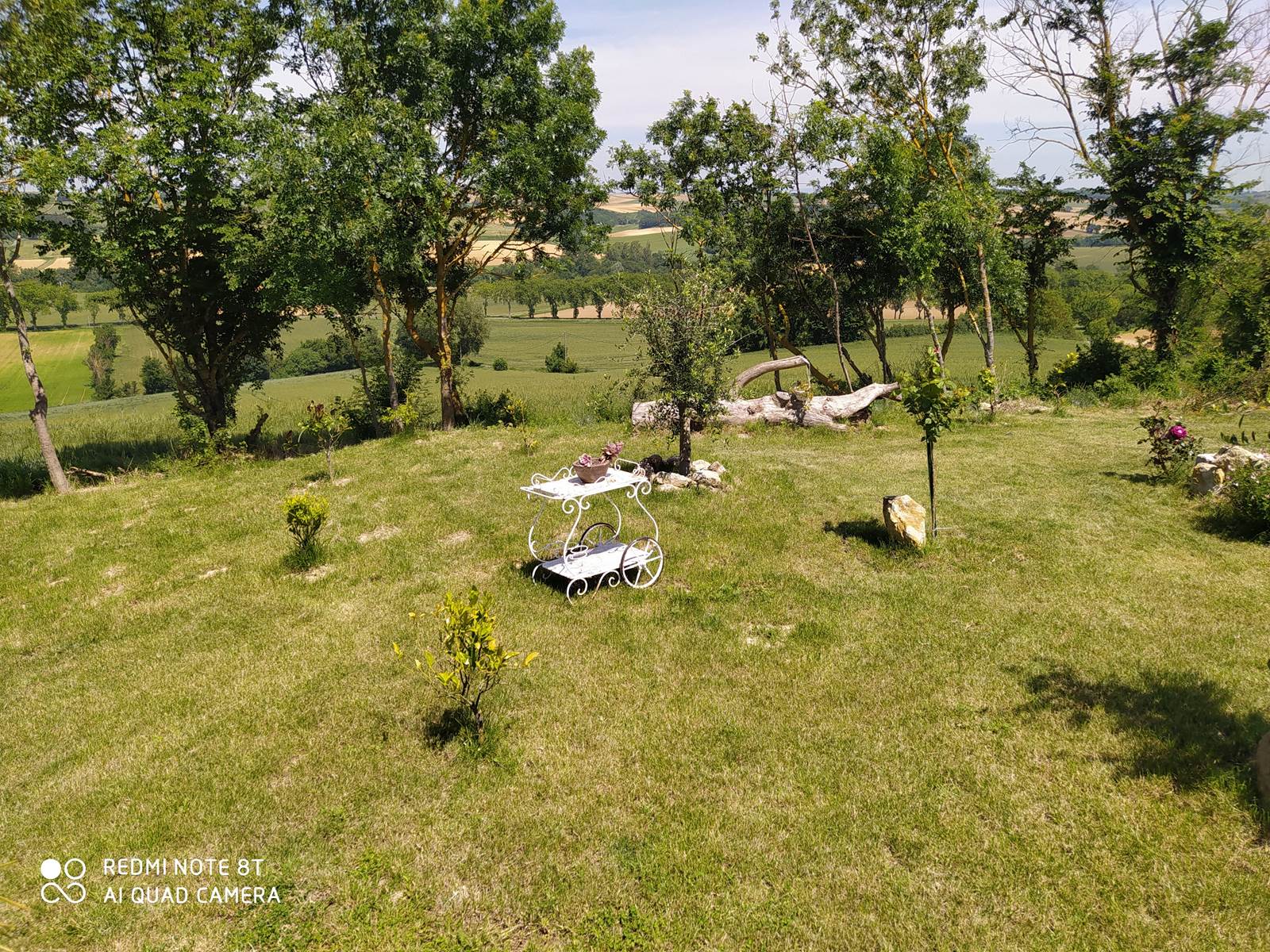 vue depuis la piscine