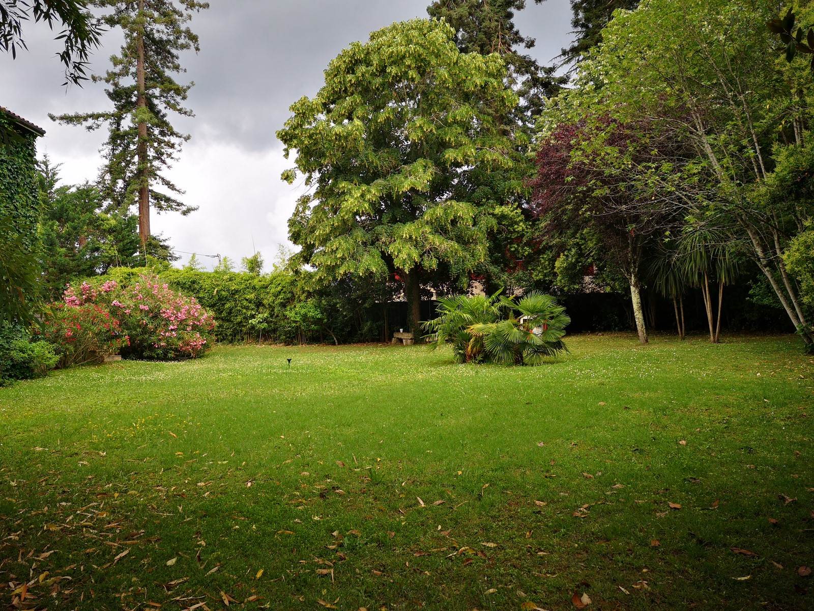 IMG_20230613_170055 (Copier)