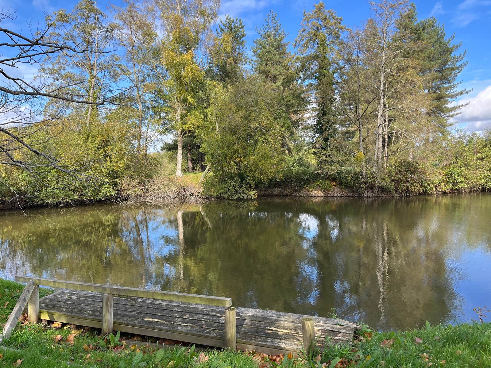 vue sur etangs poissonneux